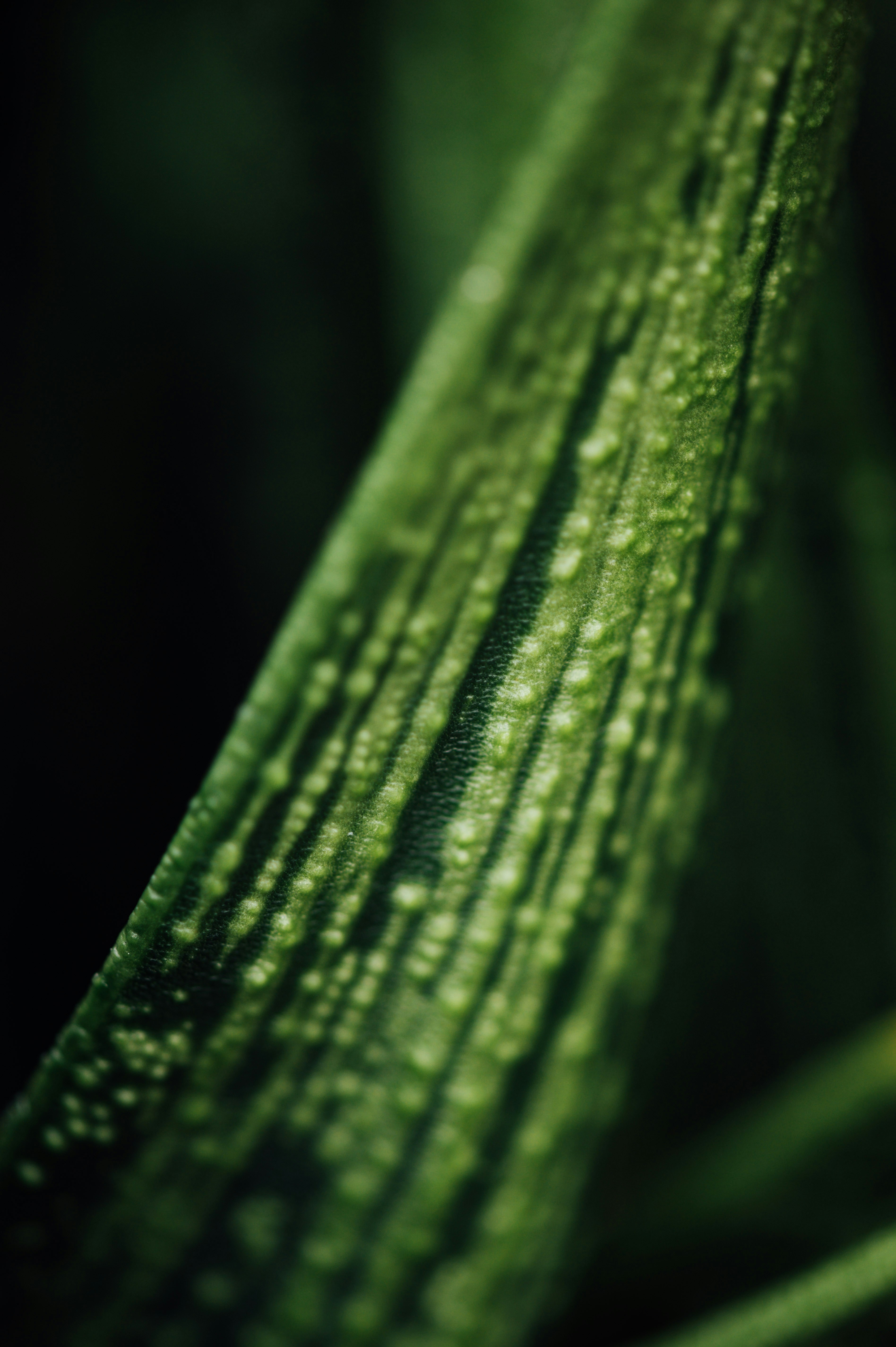 Photo by chuttersnap