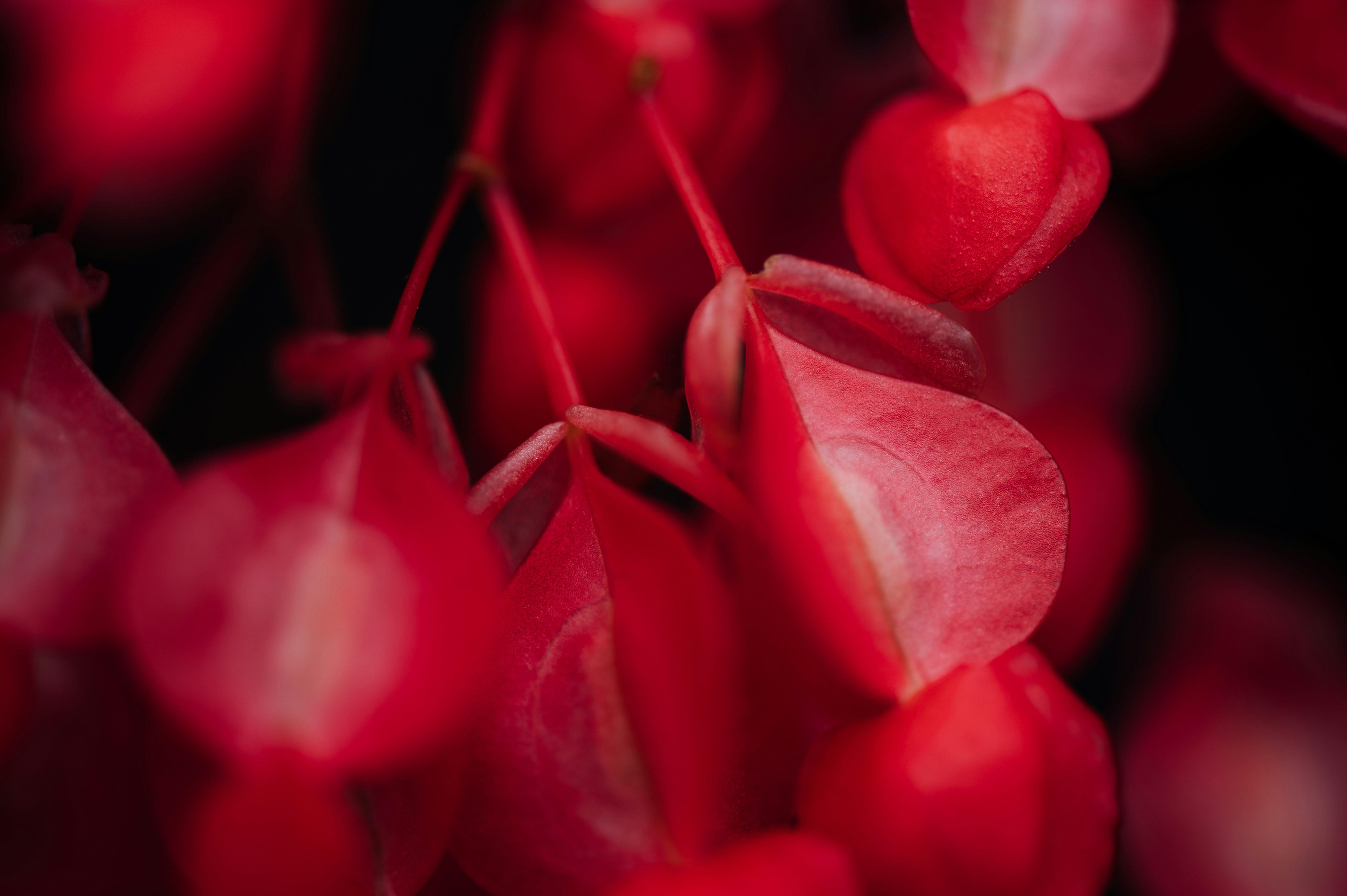 Photo by chuttersnap