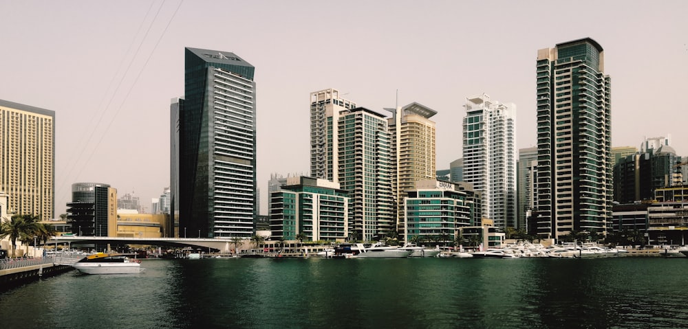 city skyline near body of water during daytime