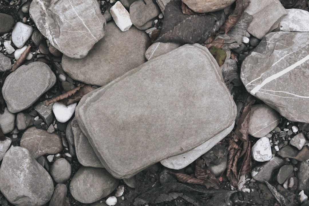 gray stone on black and brown stones