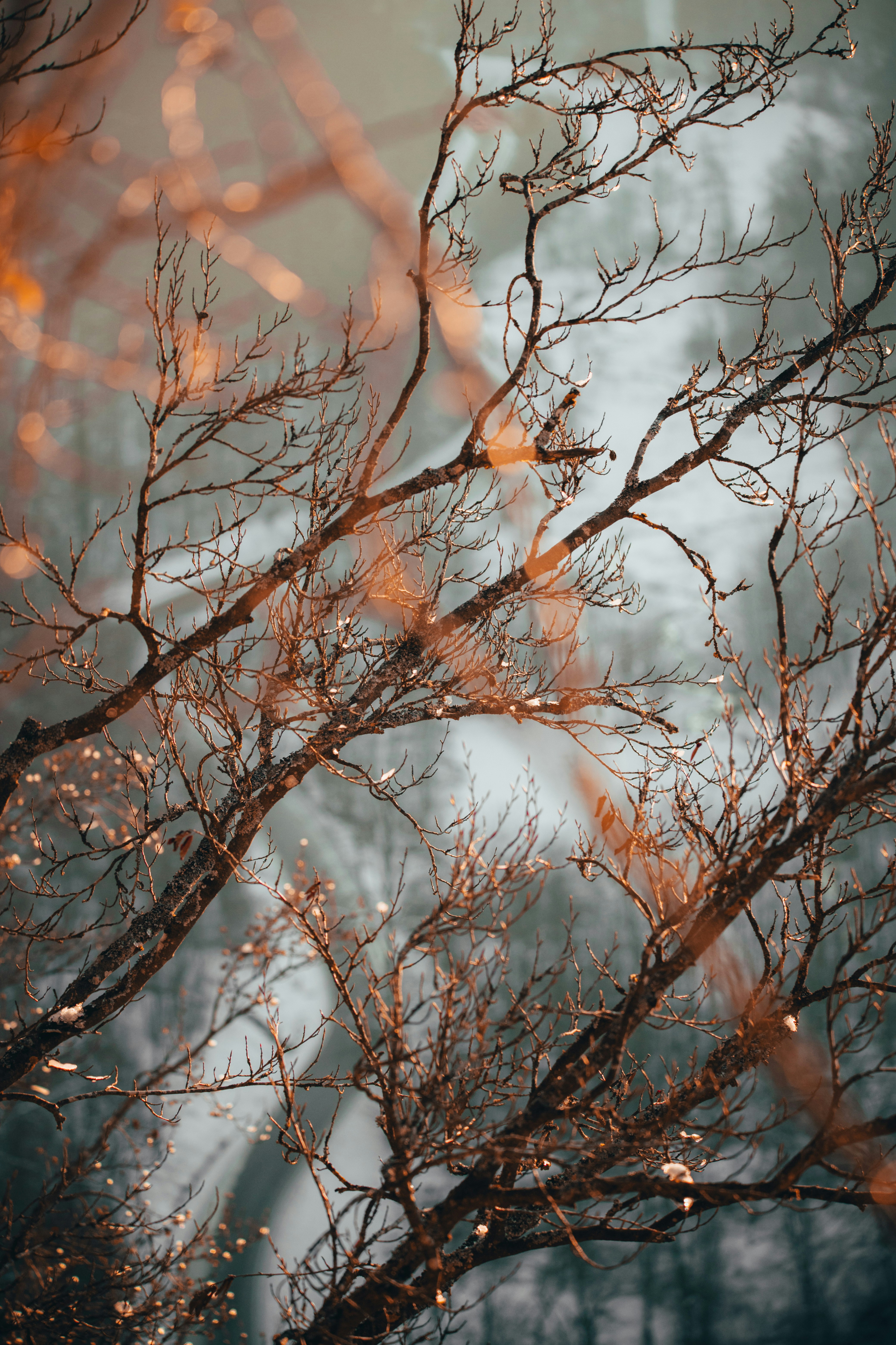 photo-1610810573260-e4d55a47e98e?ixid=M3wxMjA3fDB8MXxzZWFyY2h8MTI1fHx3ZWxjaGVyJTIwdHIlQzMlQkNmZmVsJTIwaXN0JTIwZGVyJTIwYmVzdGV8ZW58MHx8fHwxNzAxMzYxMTU4fDA%5Cu0026ixlib=rb-4.0.3