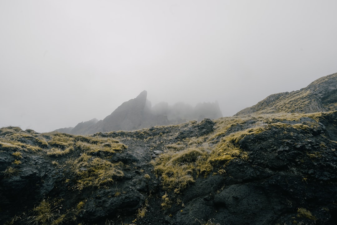 green and black mountain under white sky during daytime