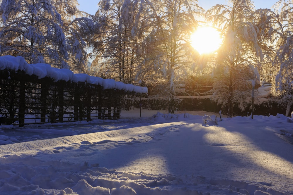 snow covered field and trees during daytime