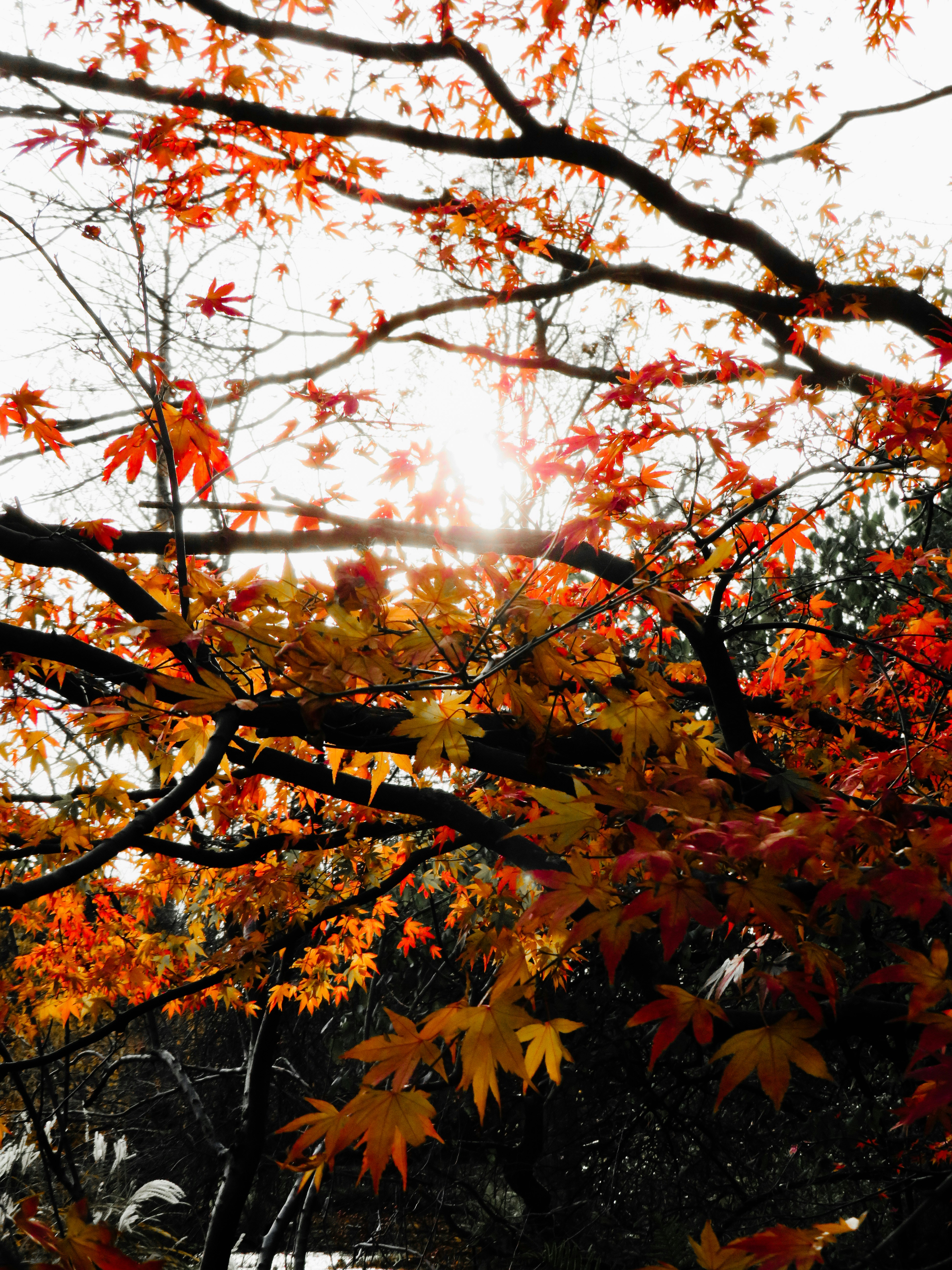 Photo by jbcphotography