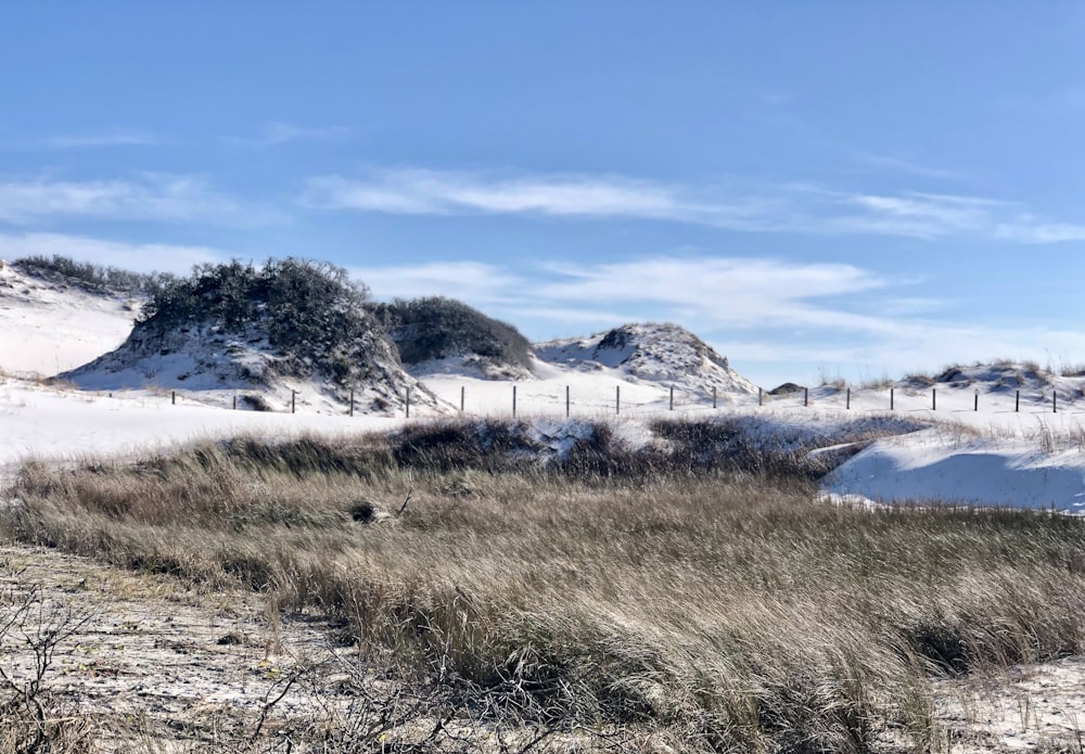 green grass field near snow covered mountain during daytime