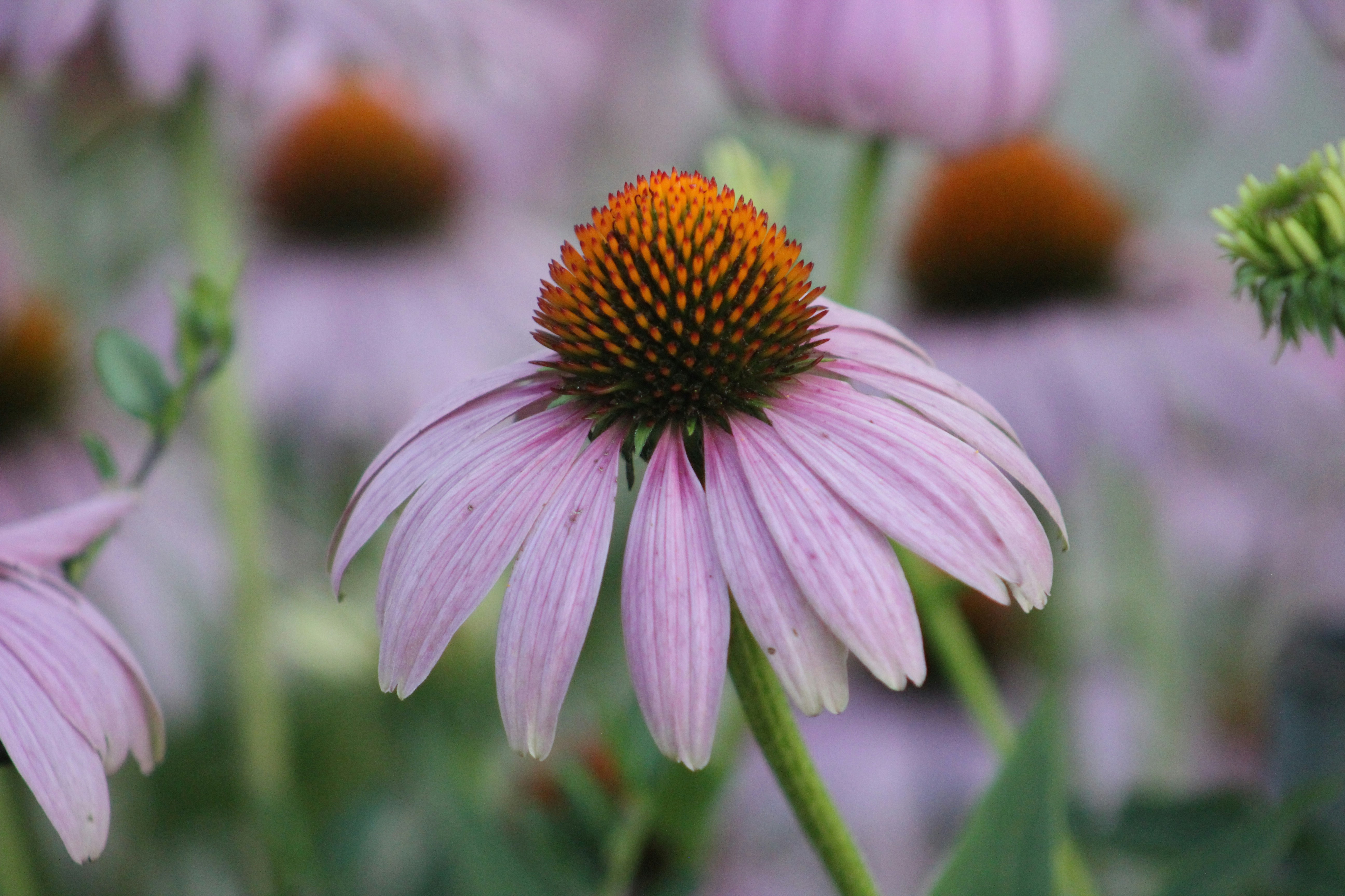 Photo by fotografie151103