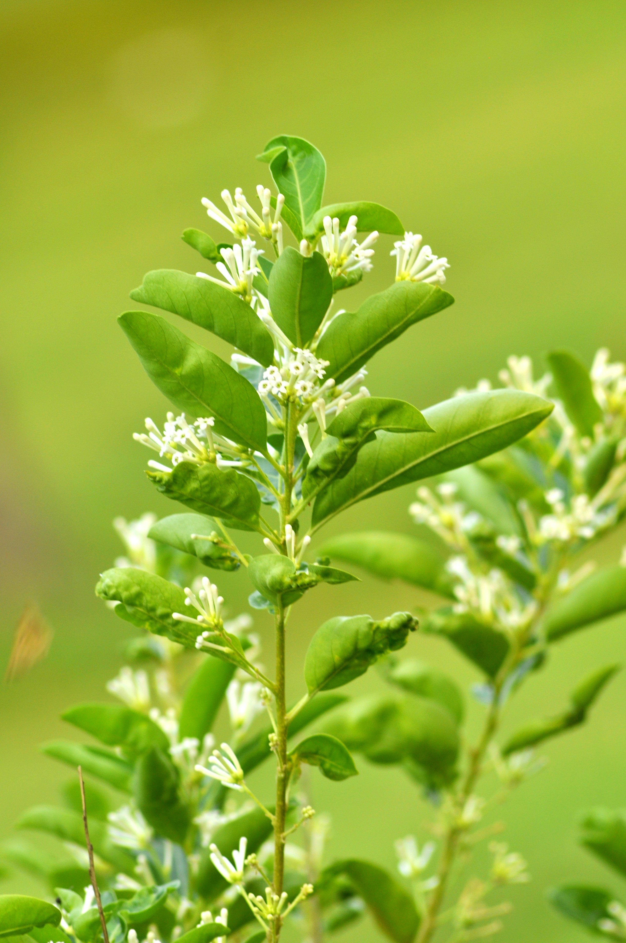 Photo by aryanghauri2020