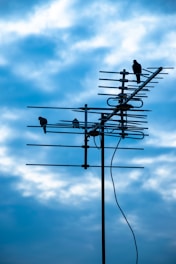 A silhouette of an outdoor television antenna with several birds perched on its rods against a backdrop of a cloudy sky. The image contrasts the dark outline of the antenna and birds with the bright, blue-tinted clouds.