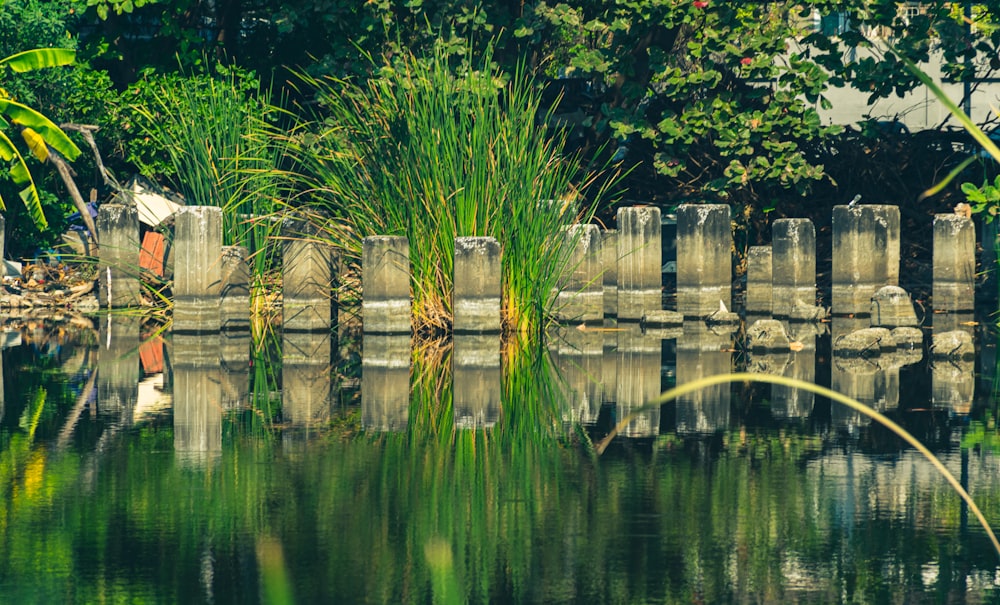 brown wooden logs on body of water