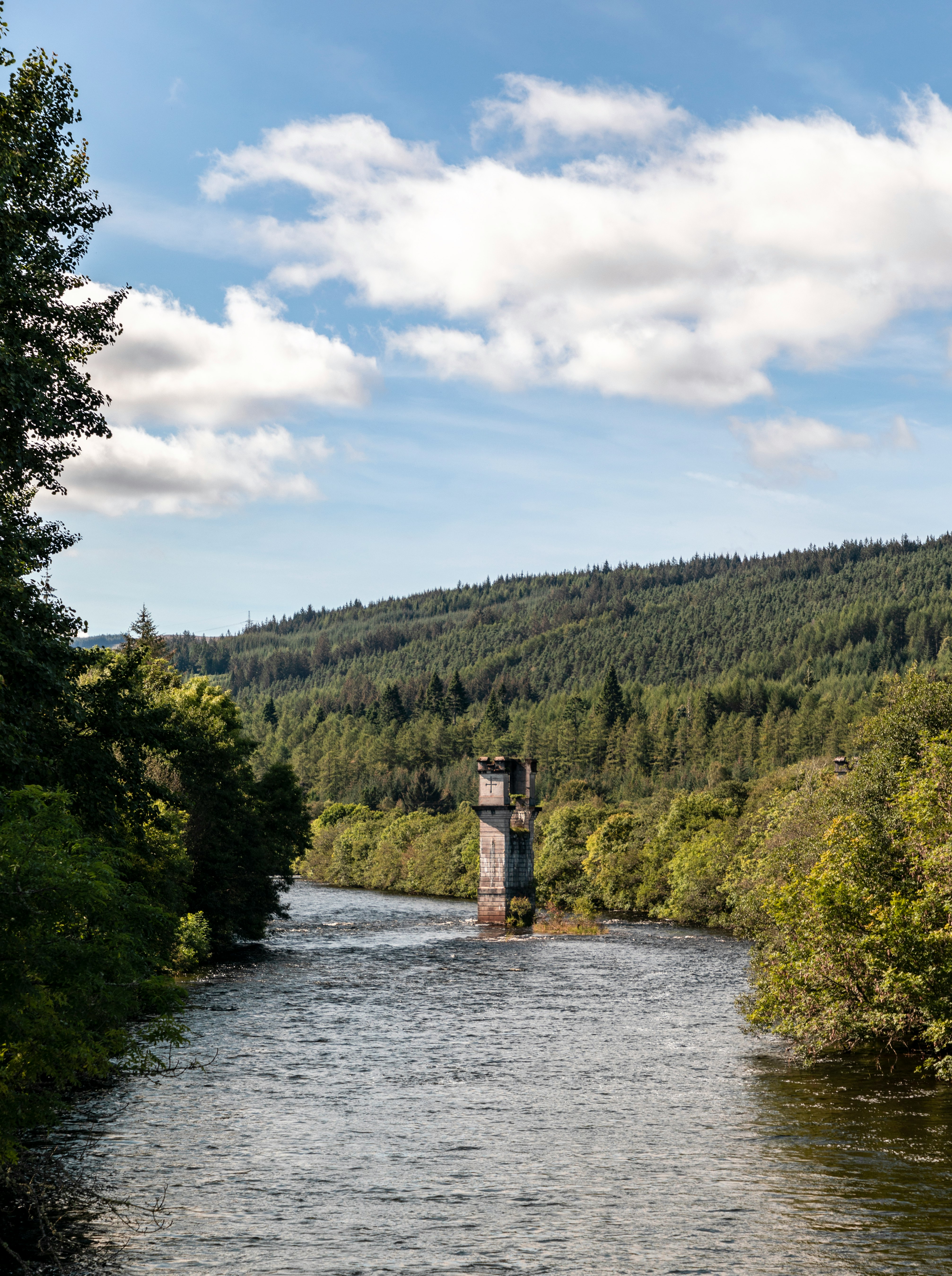 brown wooden dock on river between green trees under blue sky and white clouds during daytime