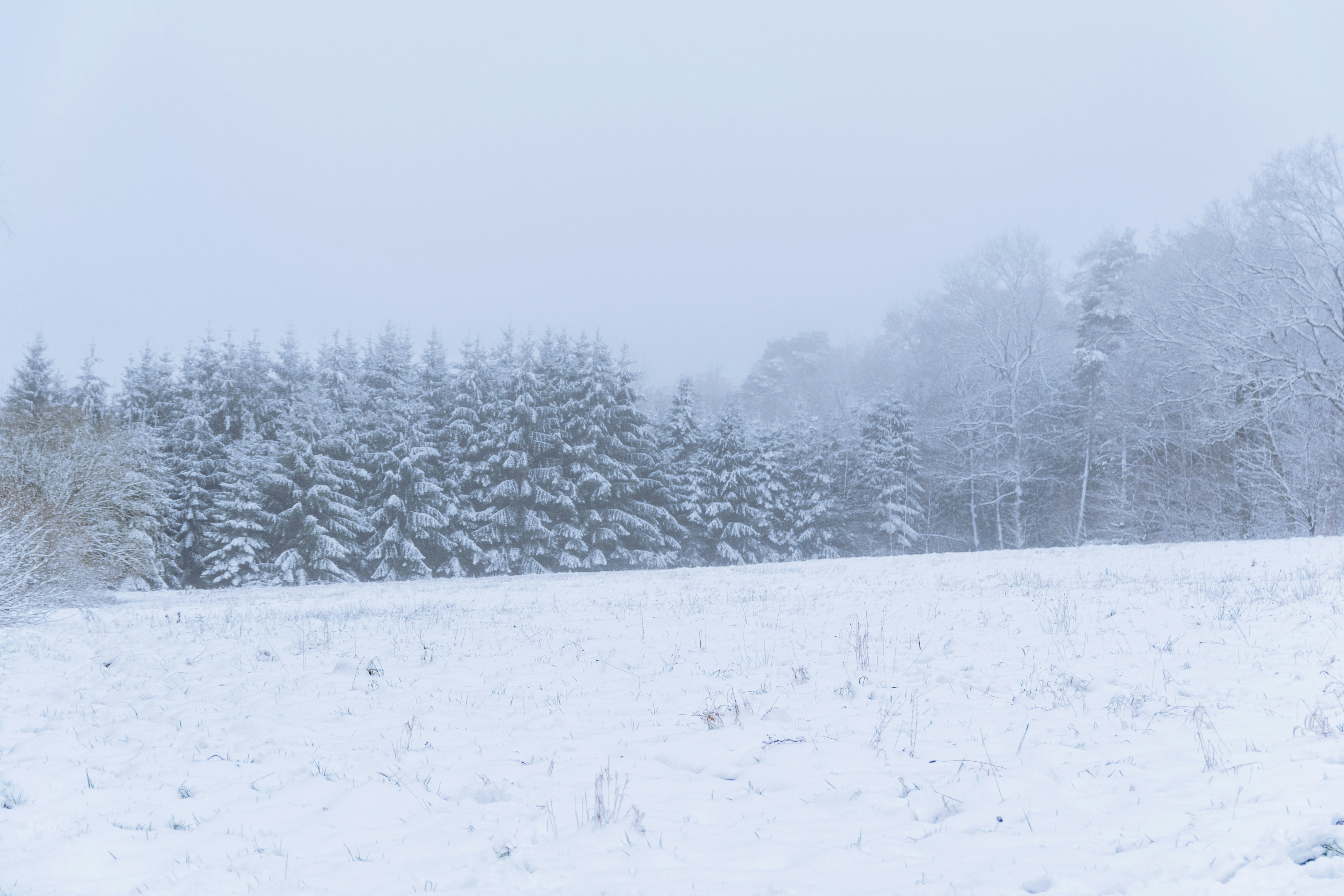 Photo by binekrafczyk