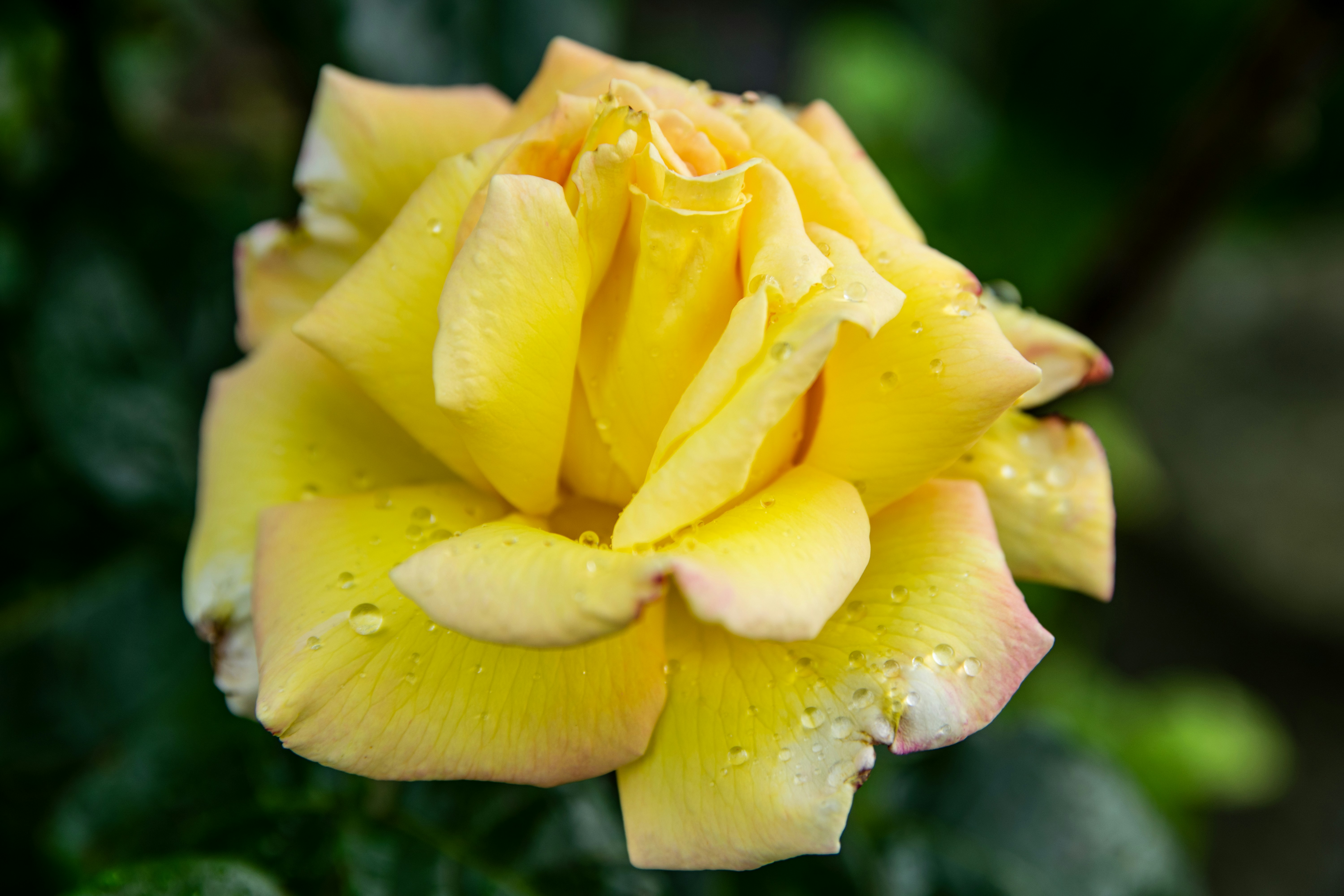 Photo by binekrafczyk