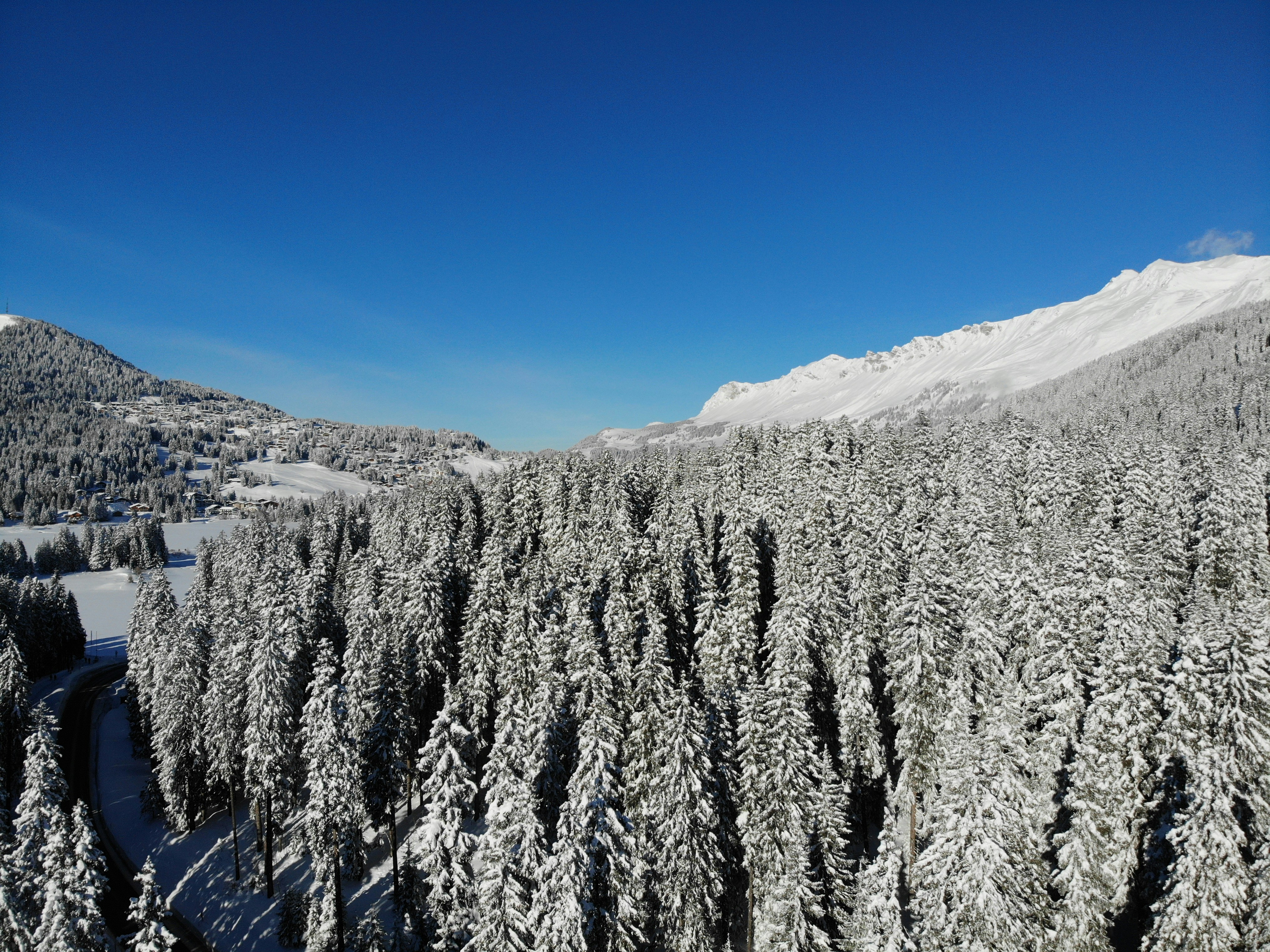 Photo by laurinberli