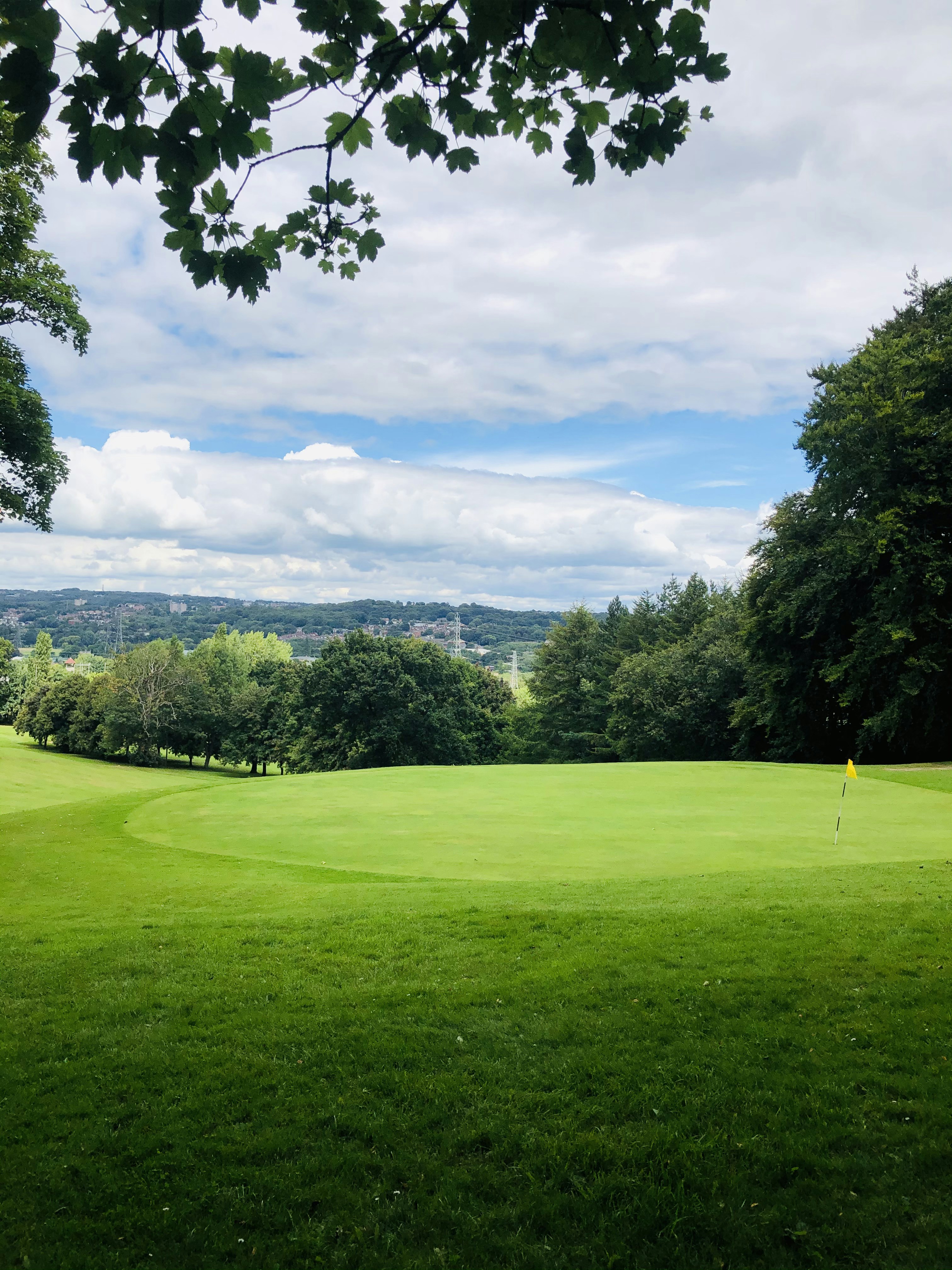 Premium Disc Golf Equipment Online