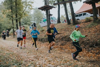 people walking on brown dried leaves during daytime