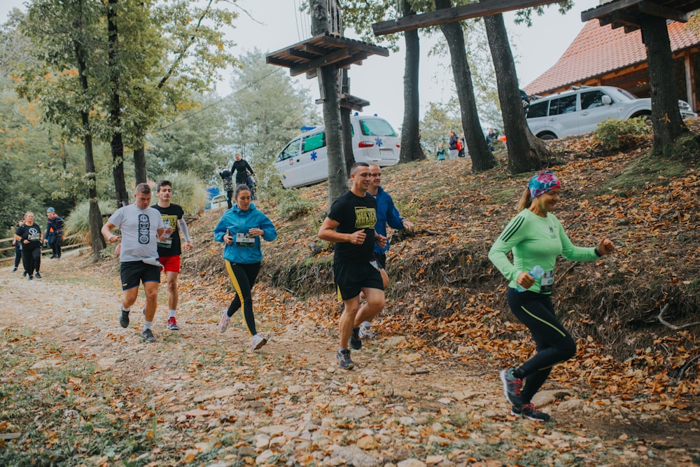 people walking on brown dried leaves during daytime