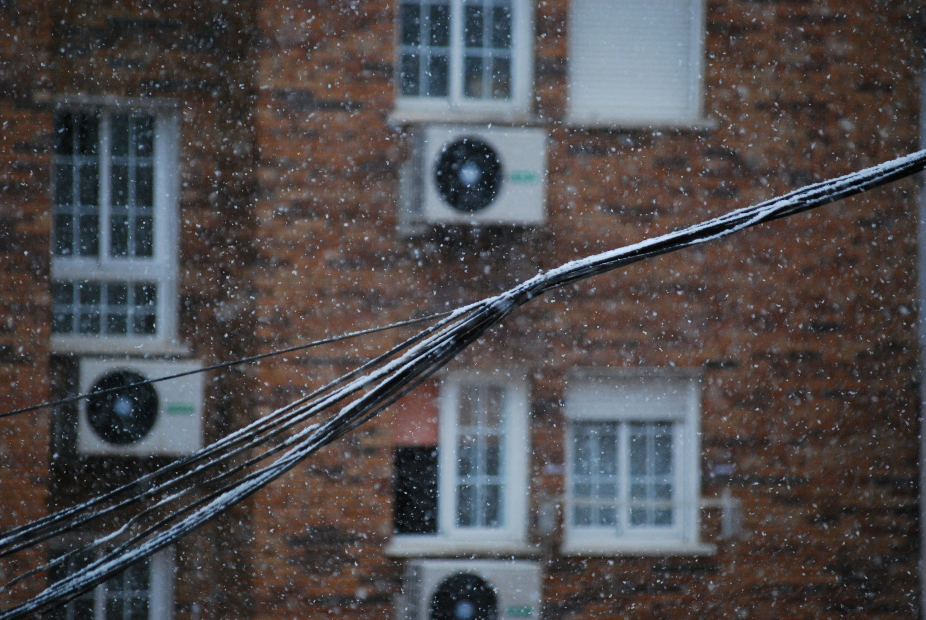 Photo by manueldevjour