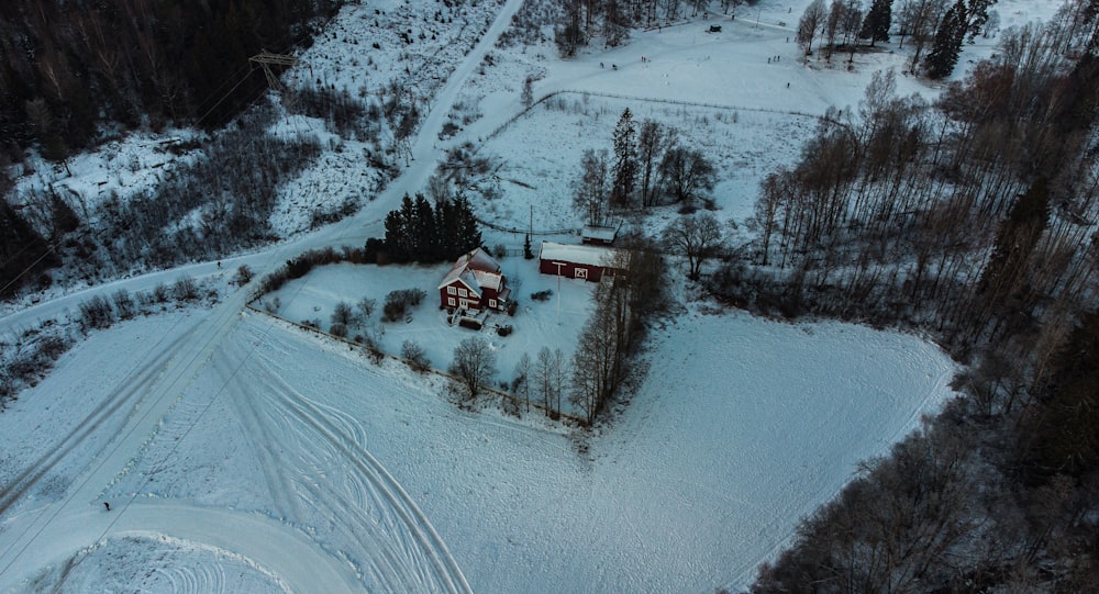 snow covered house near trees during daytime