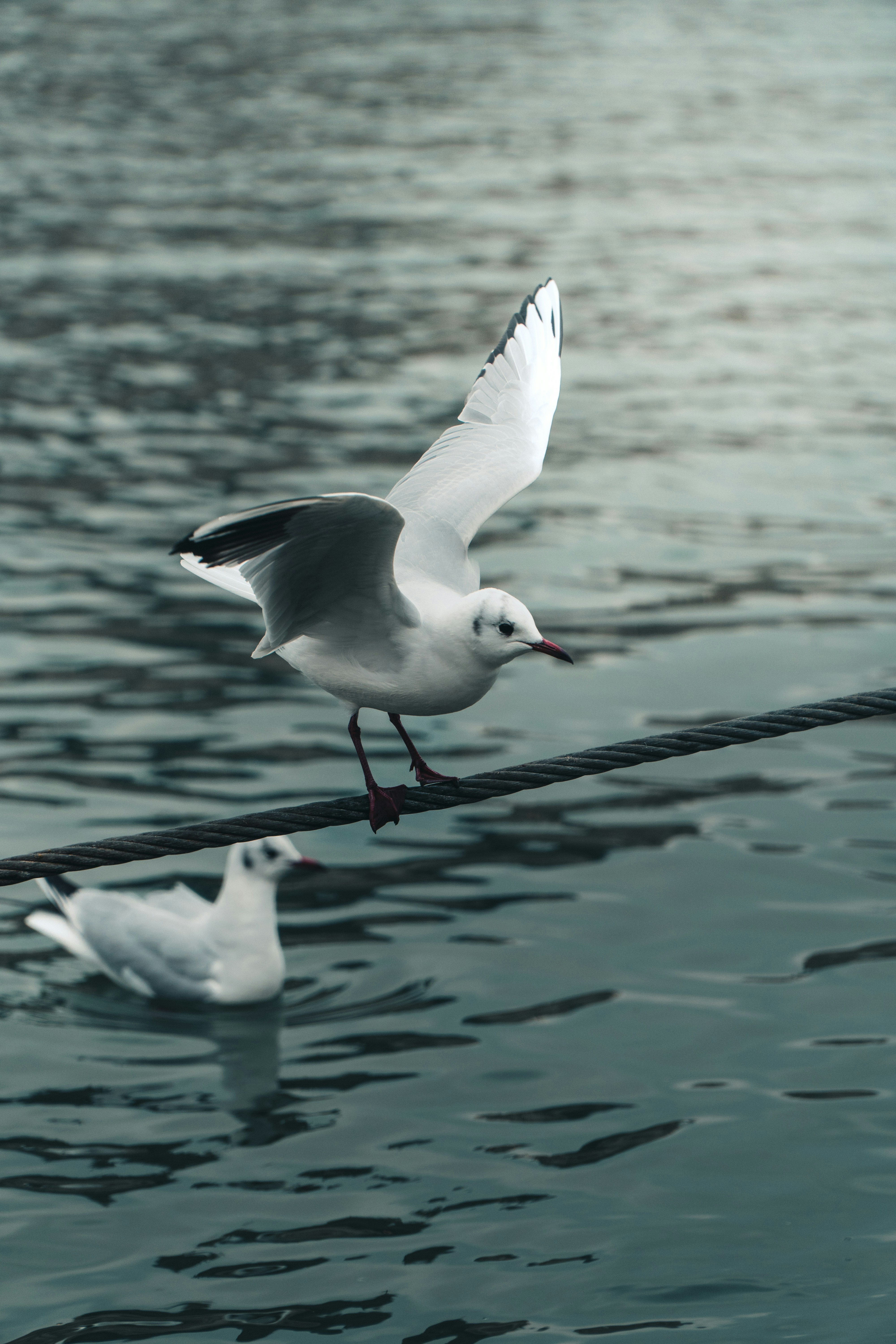 Photo by bastien_nvs