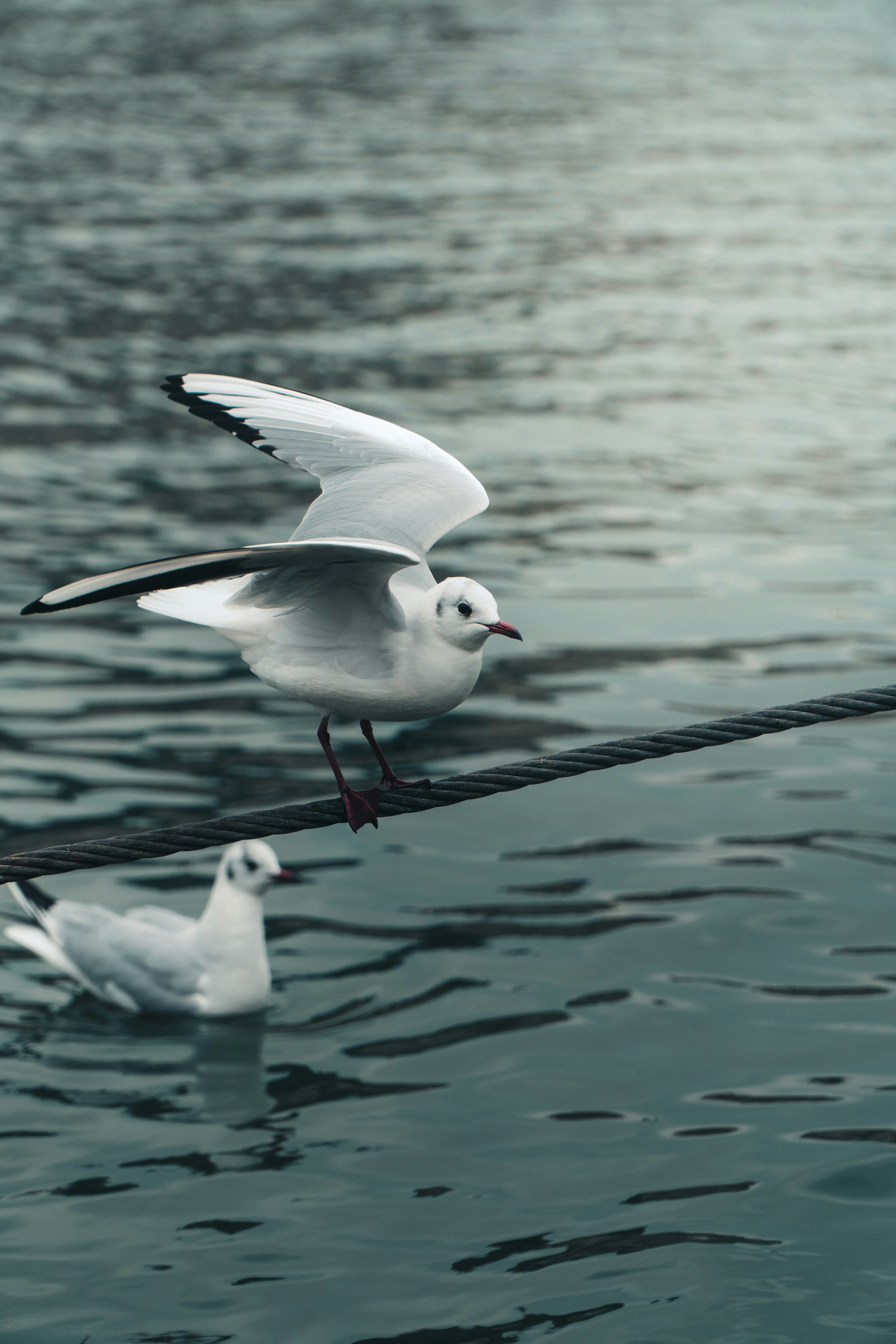 Photo by bastien_nvs