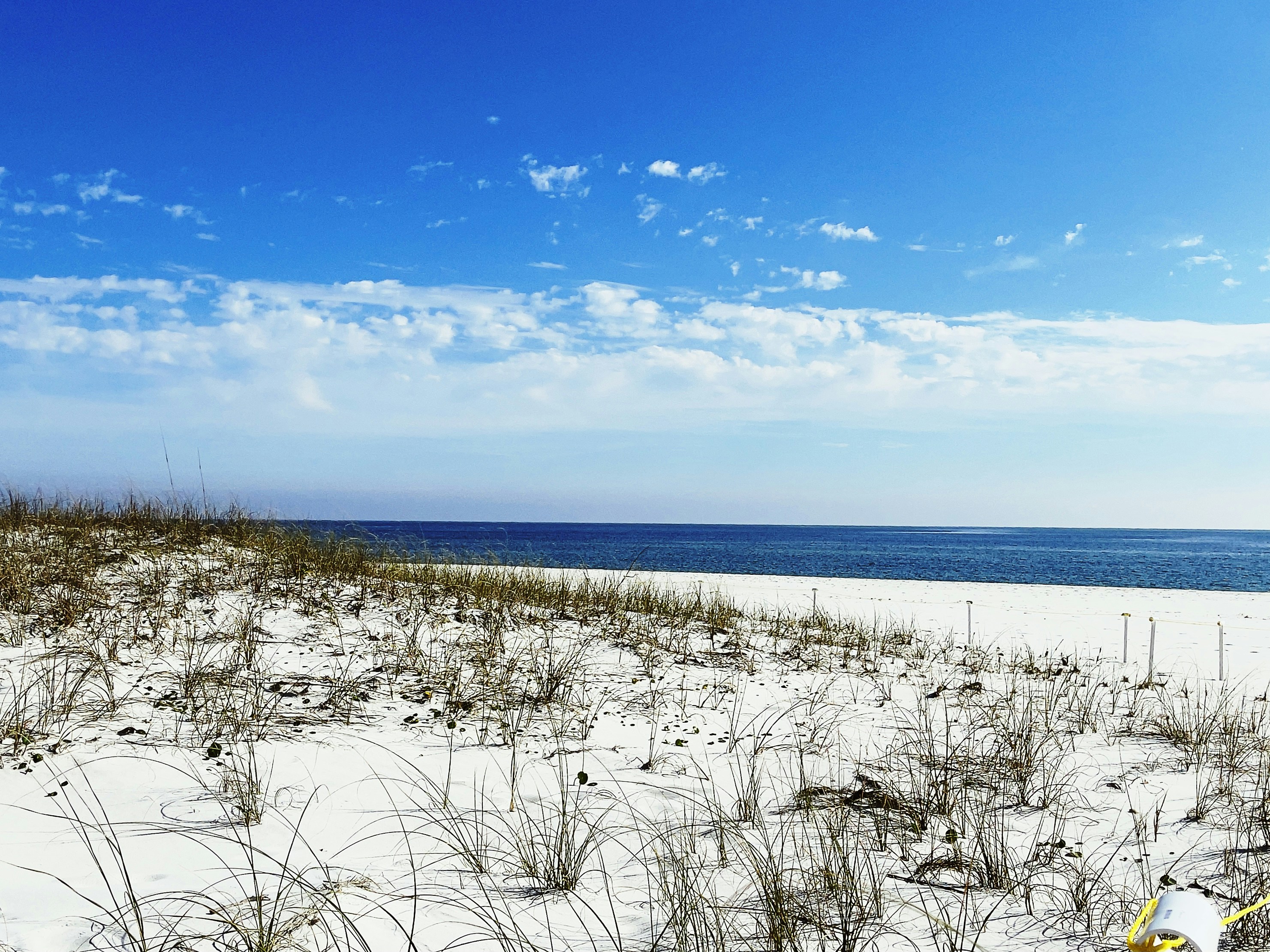 The 4 most sustainable hotels in Pensacola