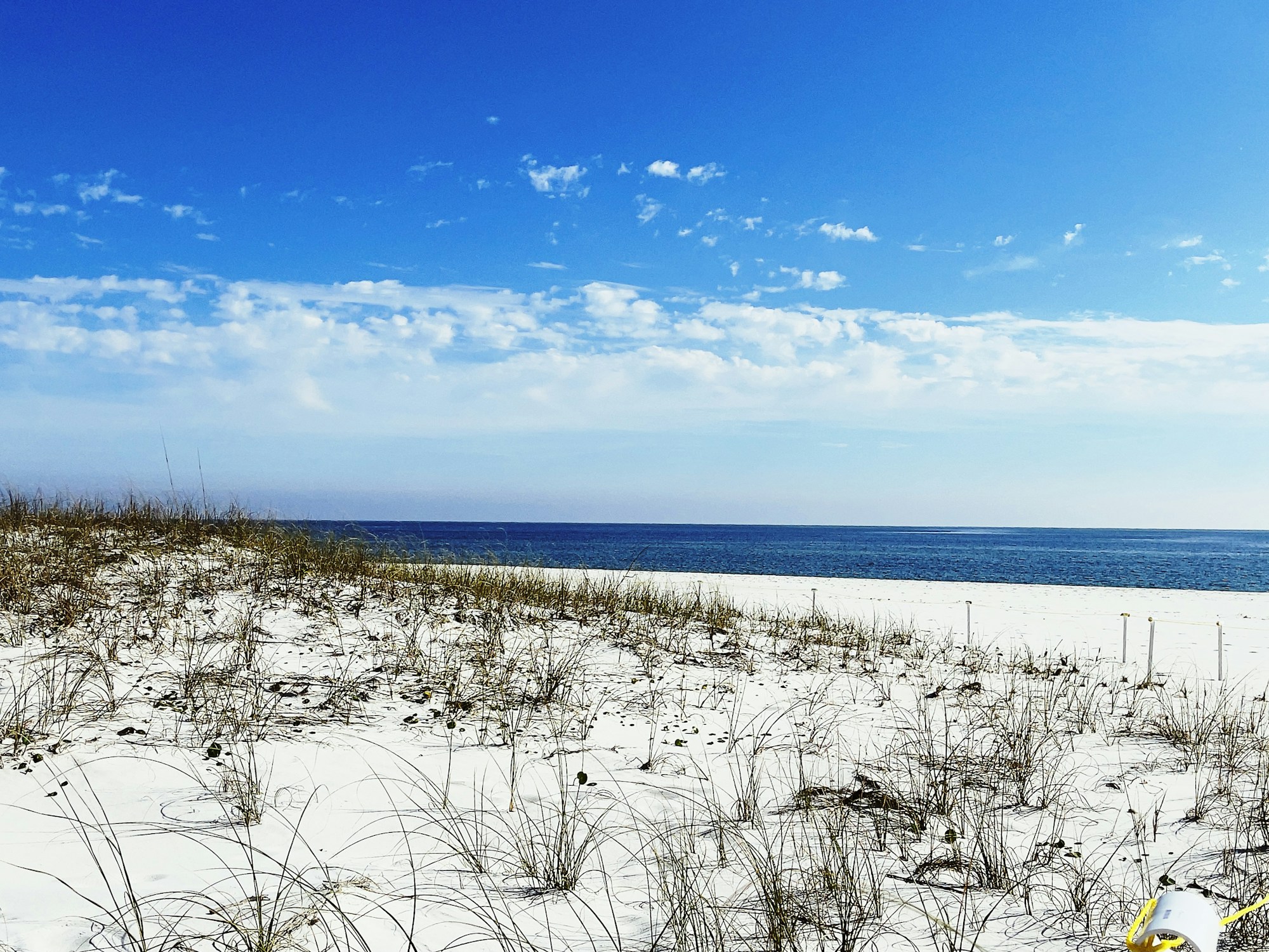 Pensacola Travel Guide: Discover Local Gems