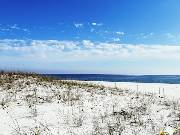 Pensacola Travel Guide: Discover Local Gems