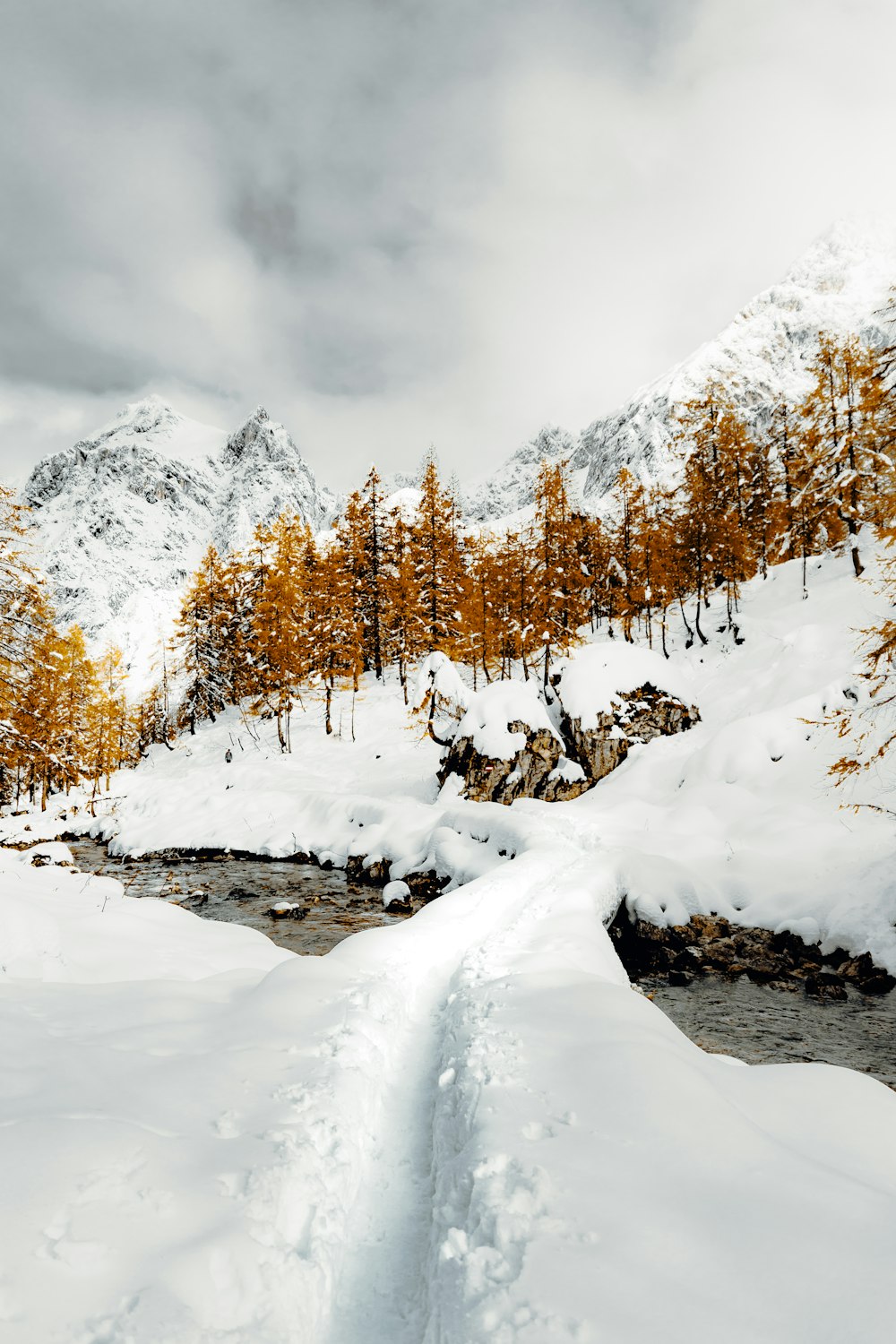 campo coberto de neve e árvores sob o céu nublado