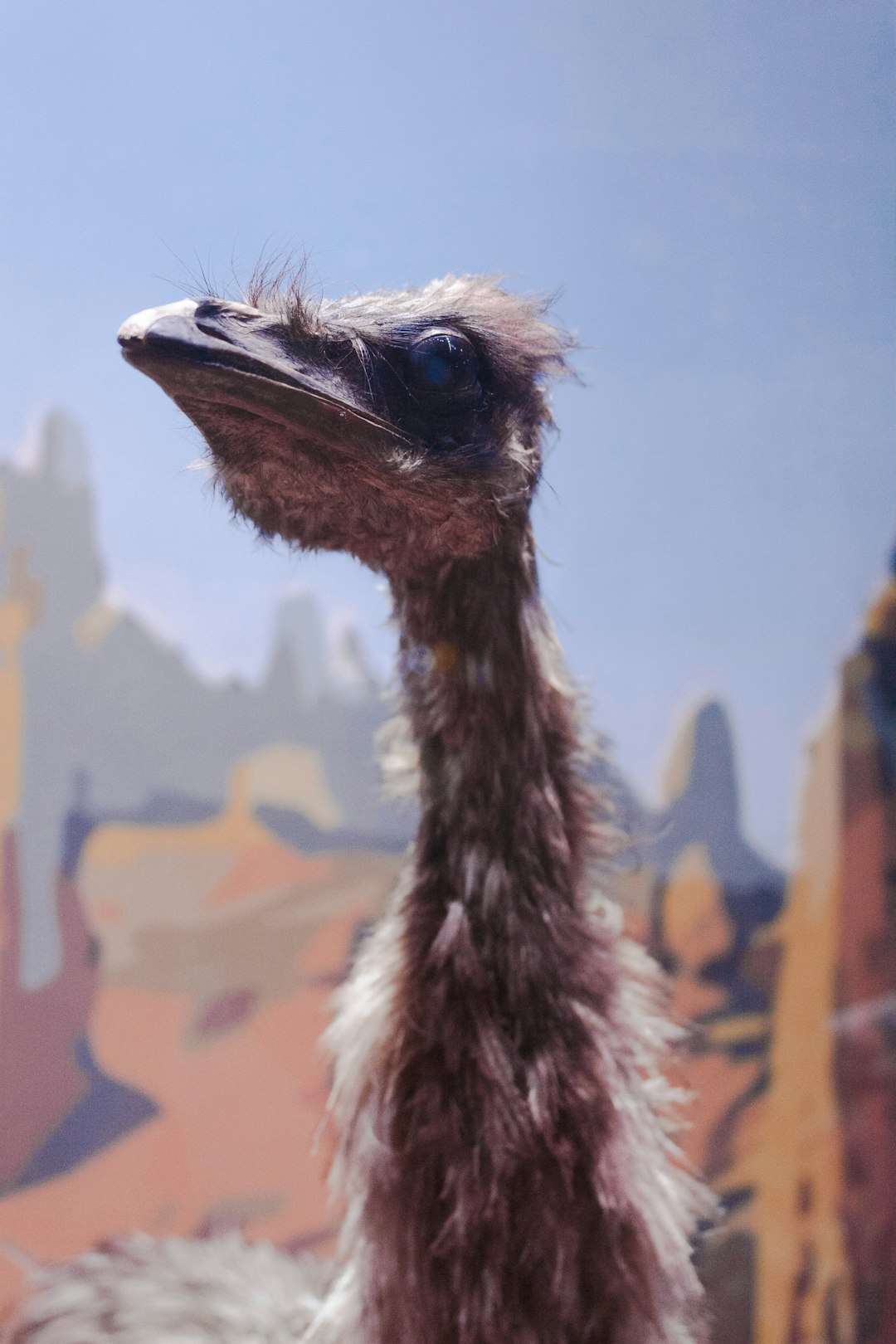 brown ostrich standing on brown grass during daytime