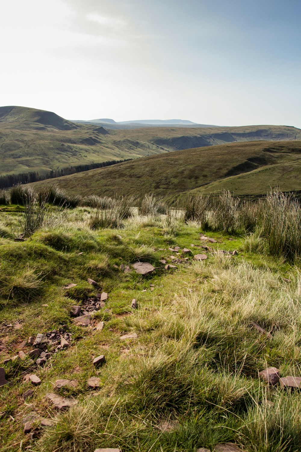 green grass field near mountain during daytime