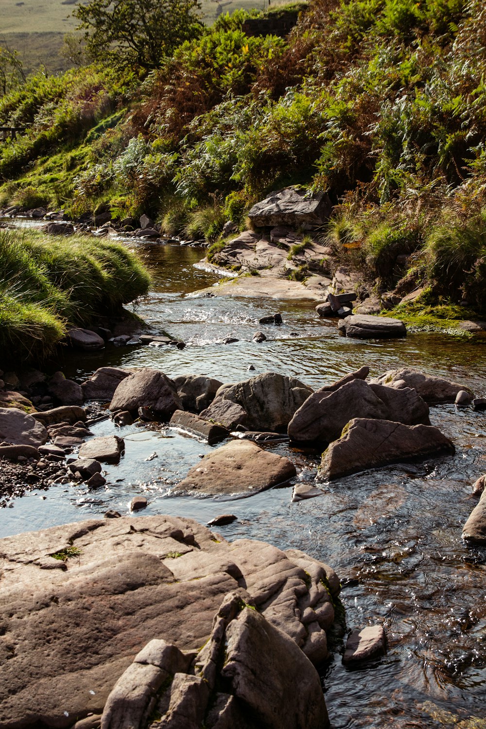 rochas marrons no rio durante o dia