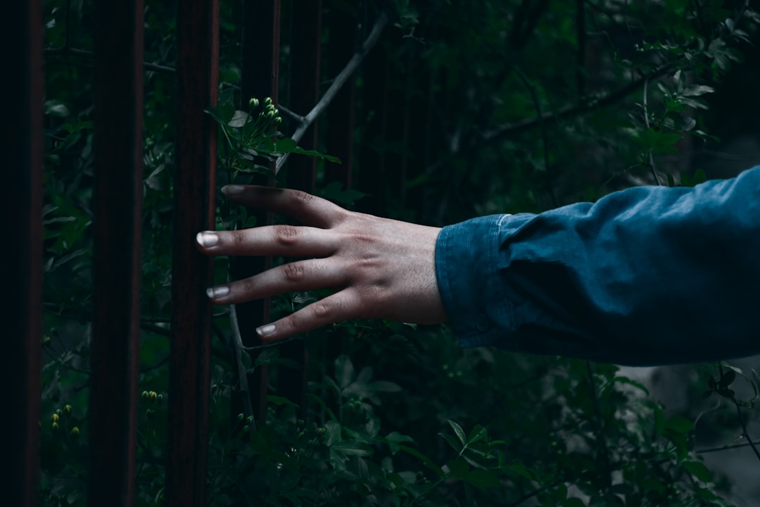 person in blue long sleeve shirt holding on brown wooden fence