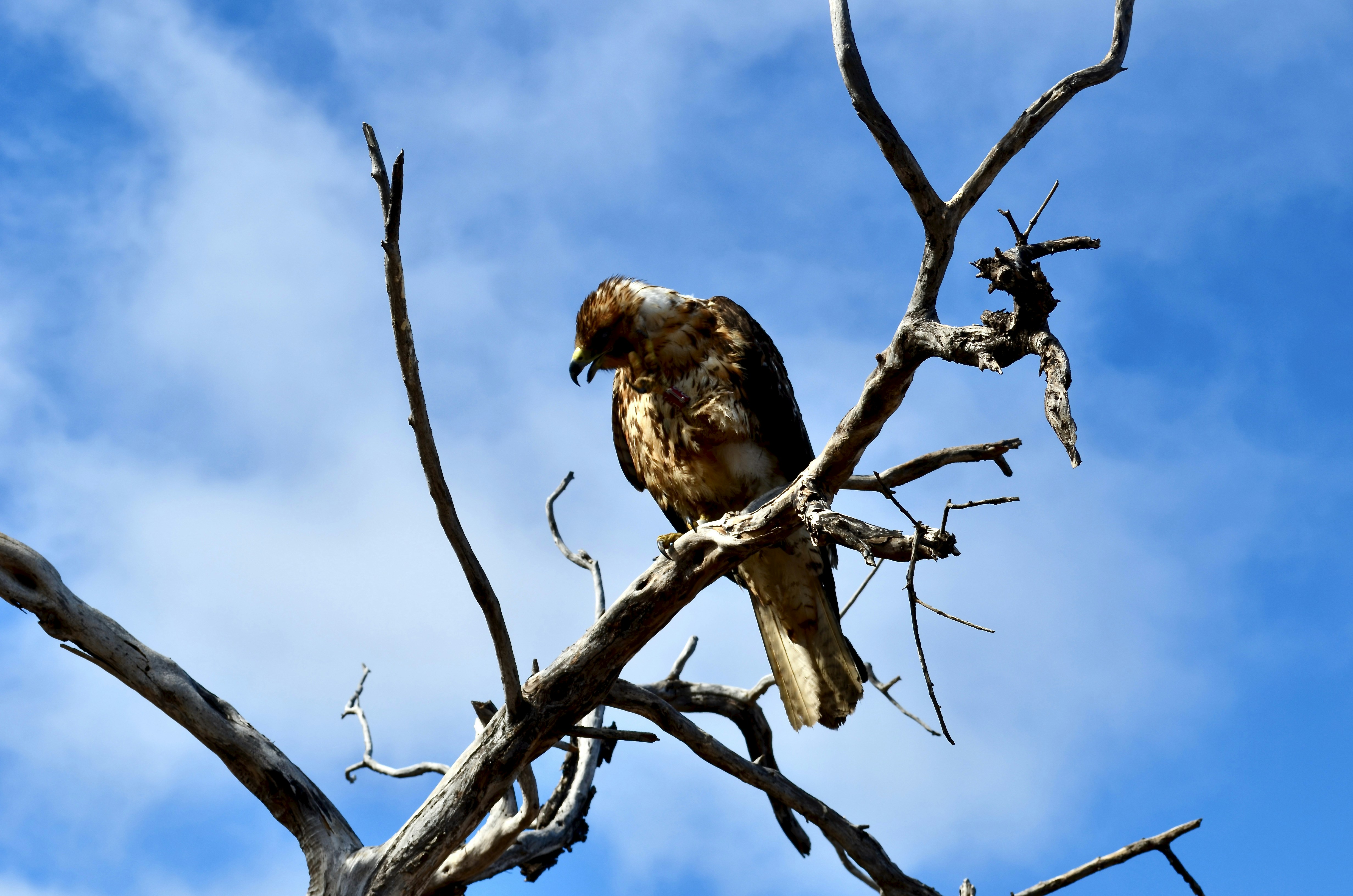 Photo by charlotterush19