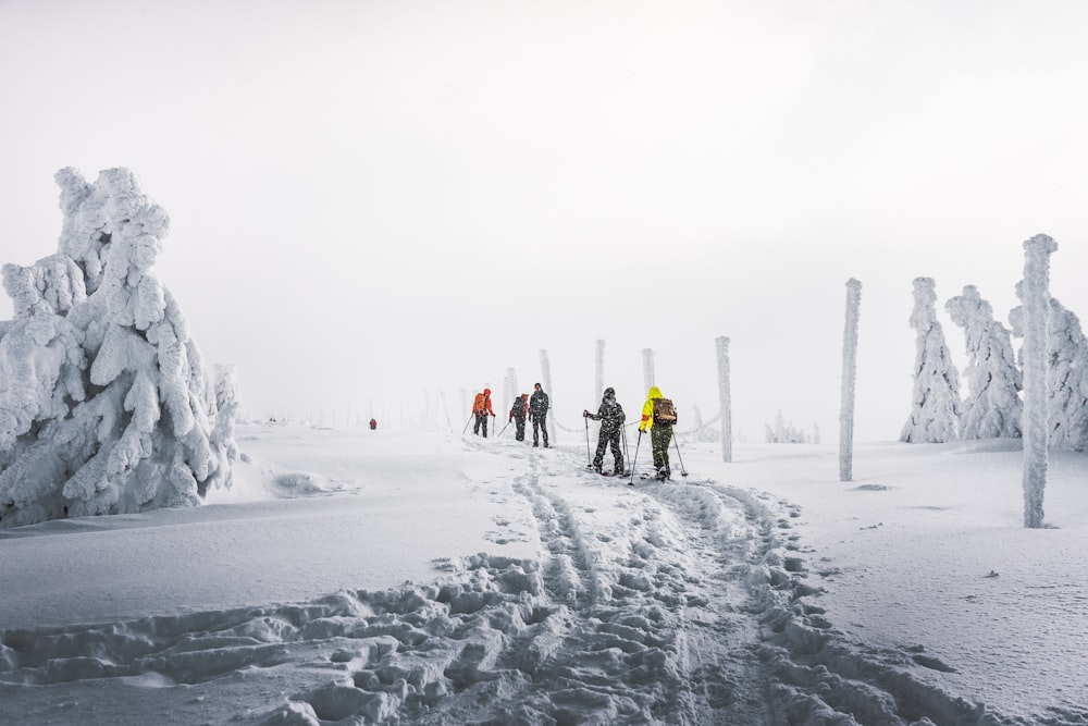 people walking on snow covered ground during daytime