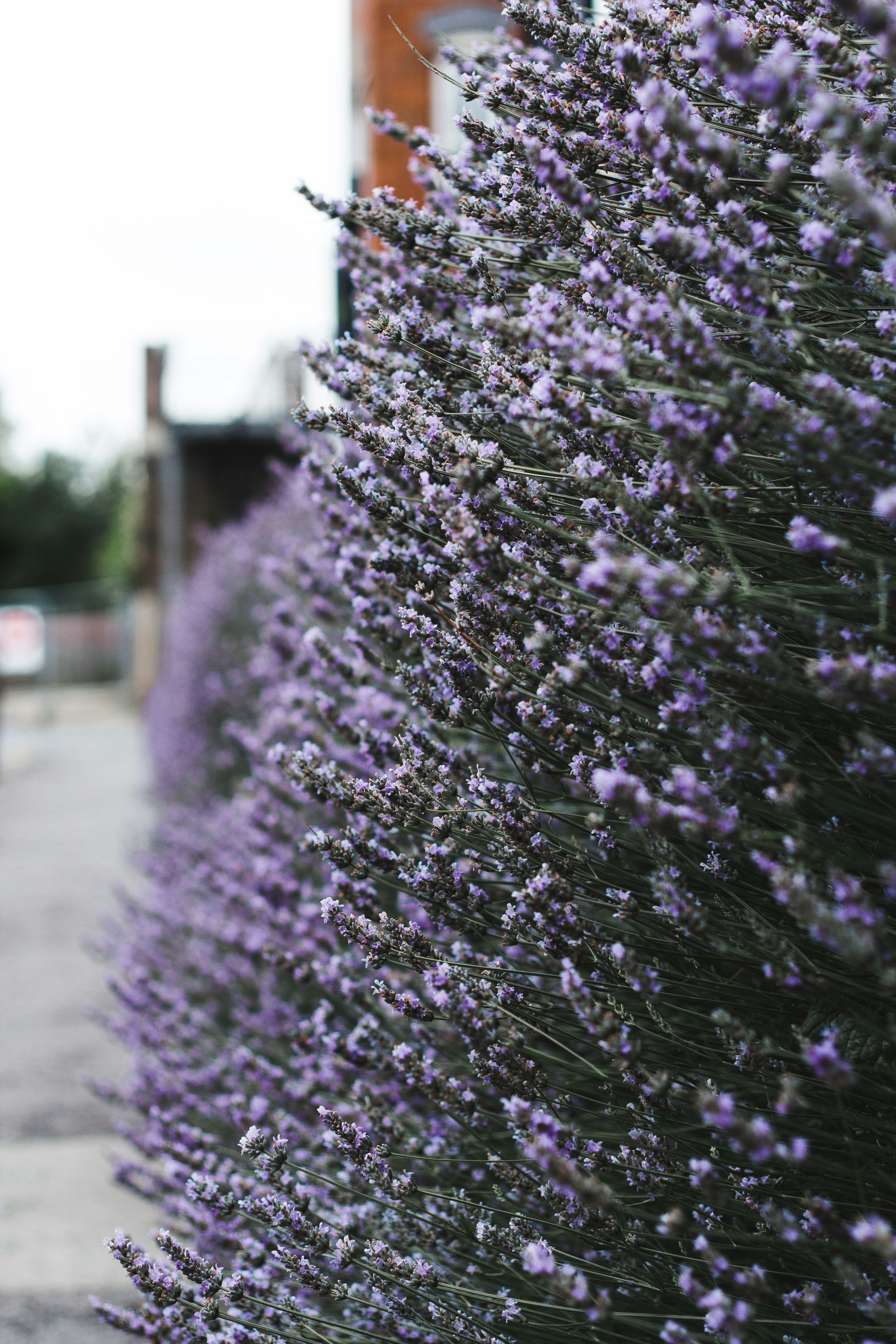 Photo by vovkapanda