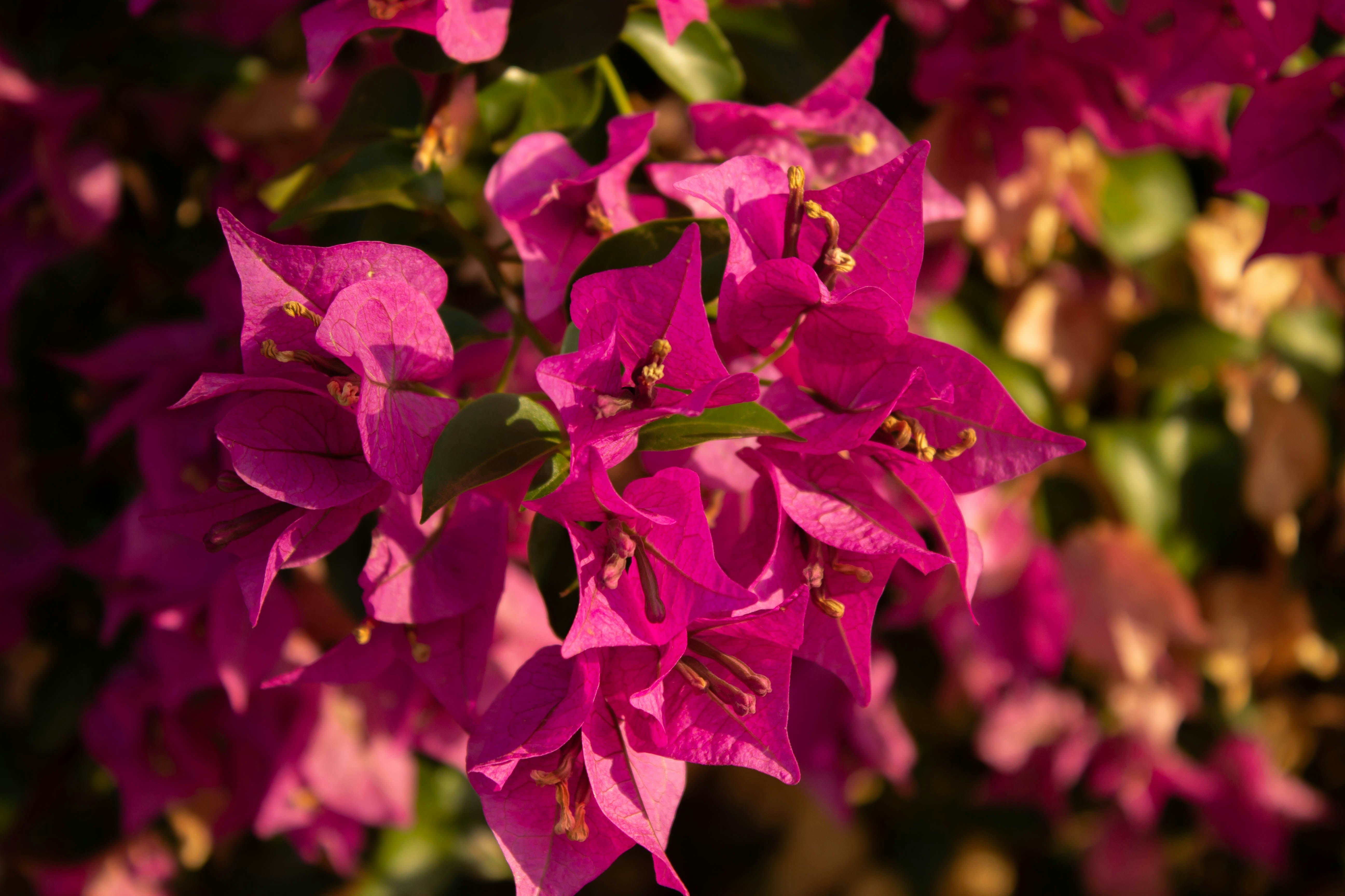 Photo by amywithacamera