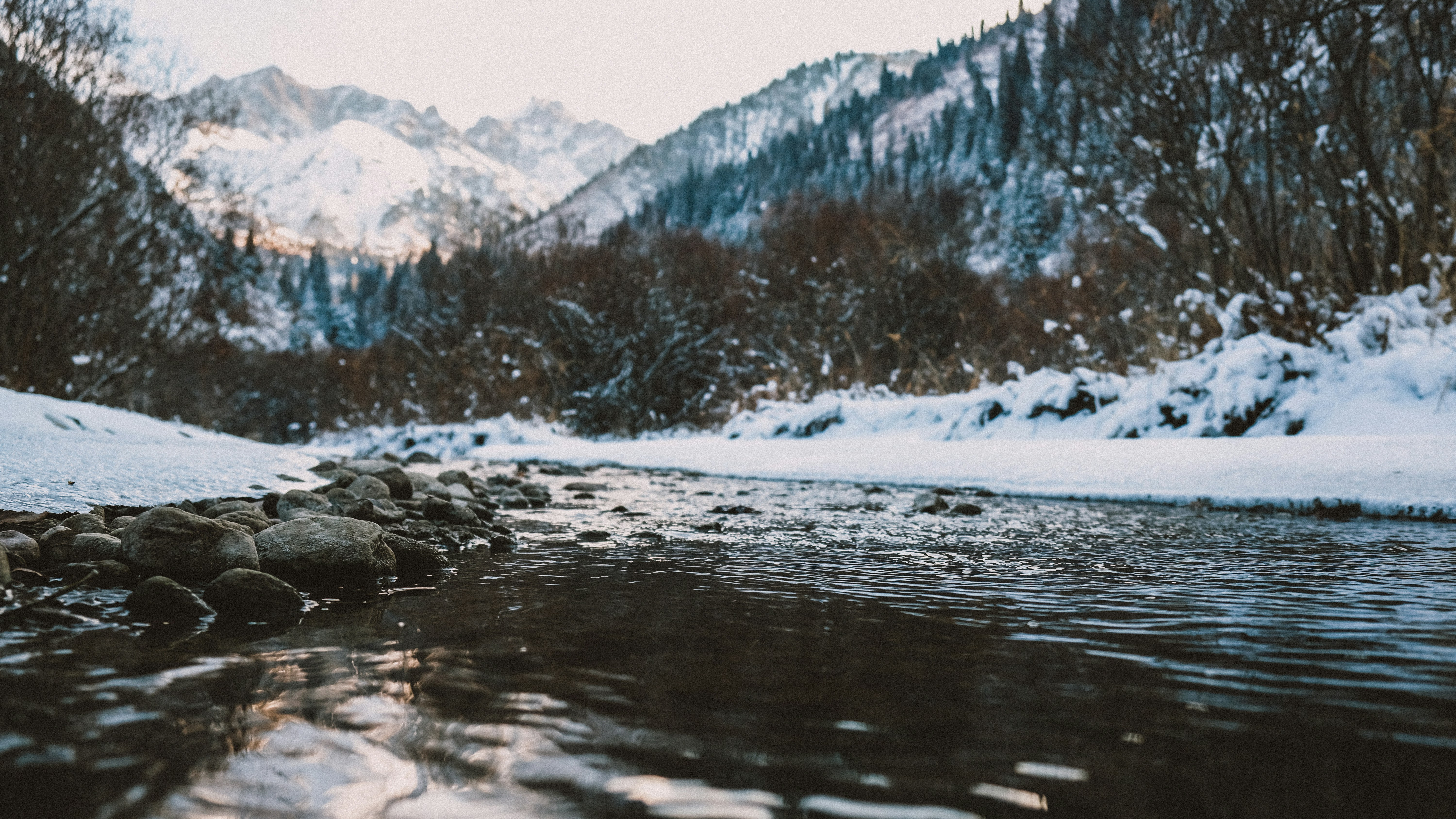 Photo by sumskoydmitry
