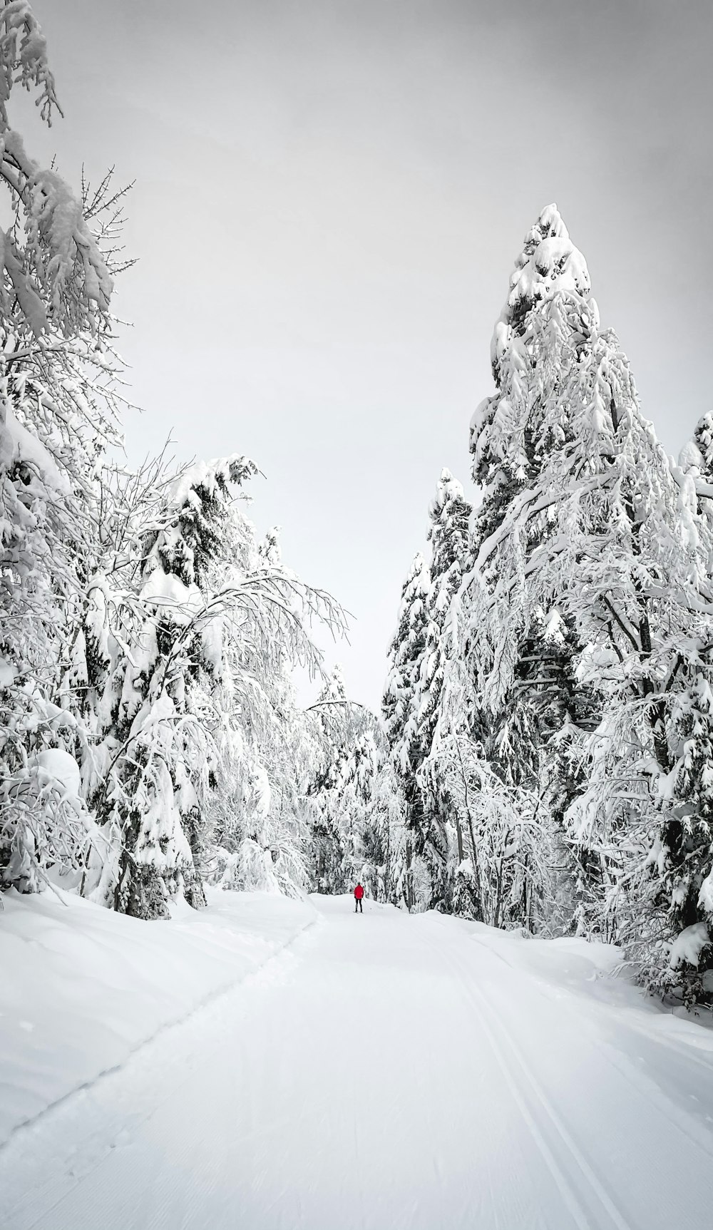 Persona in giacca rossa in piedi su terreno coperto di neve durante il giorno