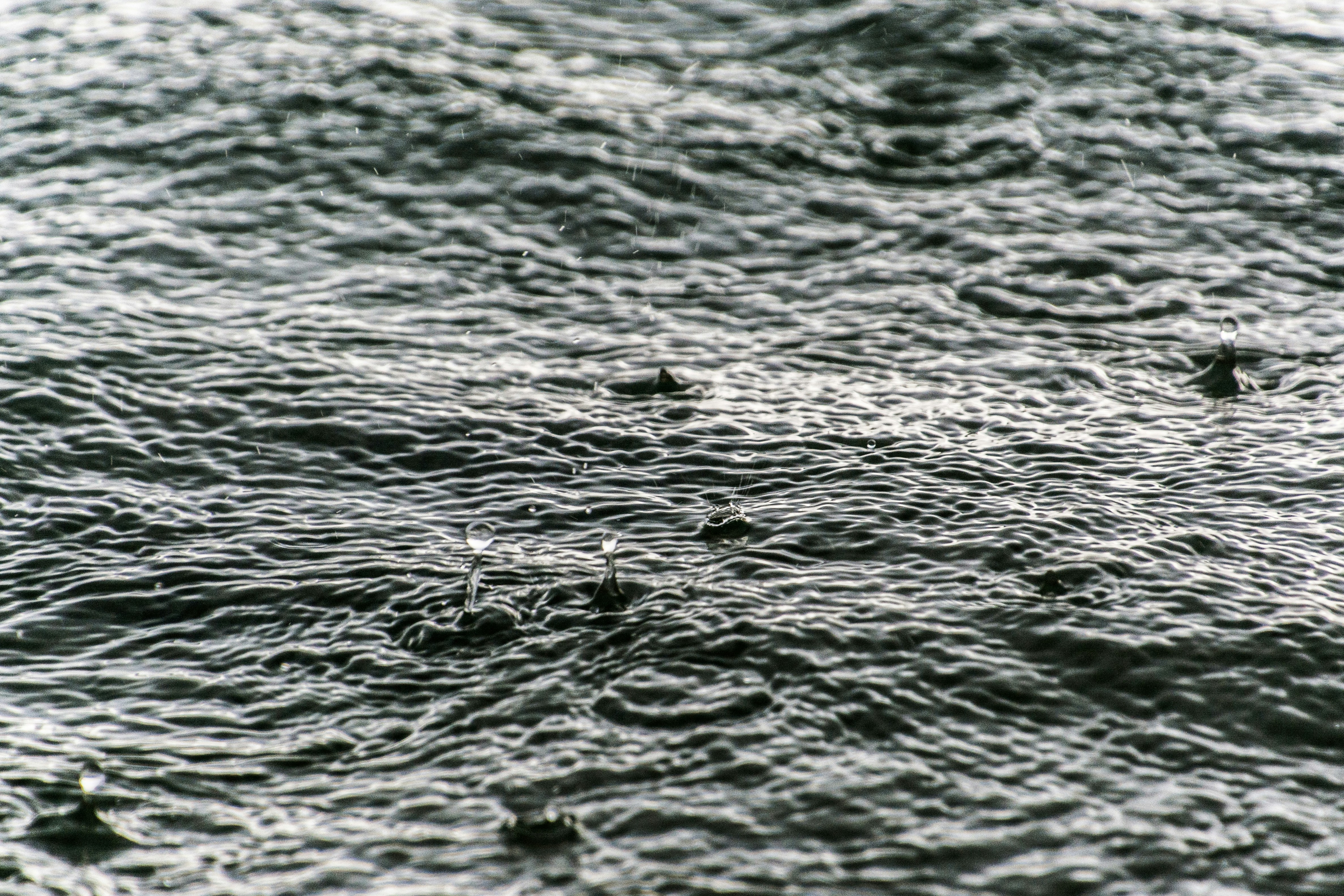 Photo by thomascouillard