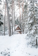 Cozy chalet nestled among pine trees with snow-covered roof