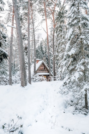 A cozy wooden cabin is nestled among tall pine trees, blanketed in snow. The path leading to the cabin is lightly covered in snow, creating a serene winter landscape. The cabin's chimney and triangular roof are visible, adding to the rustic charm of the setting.