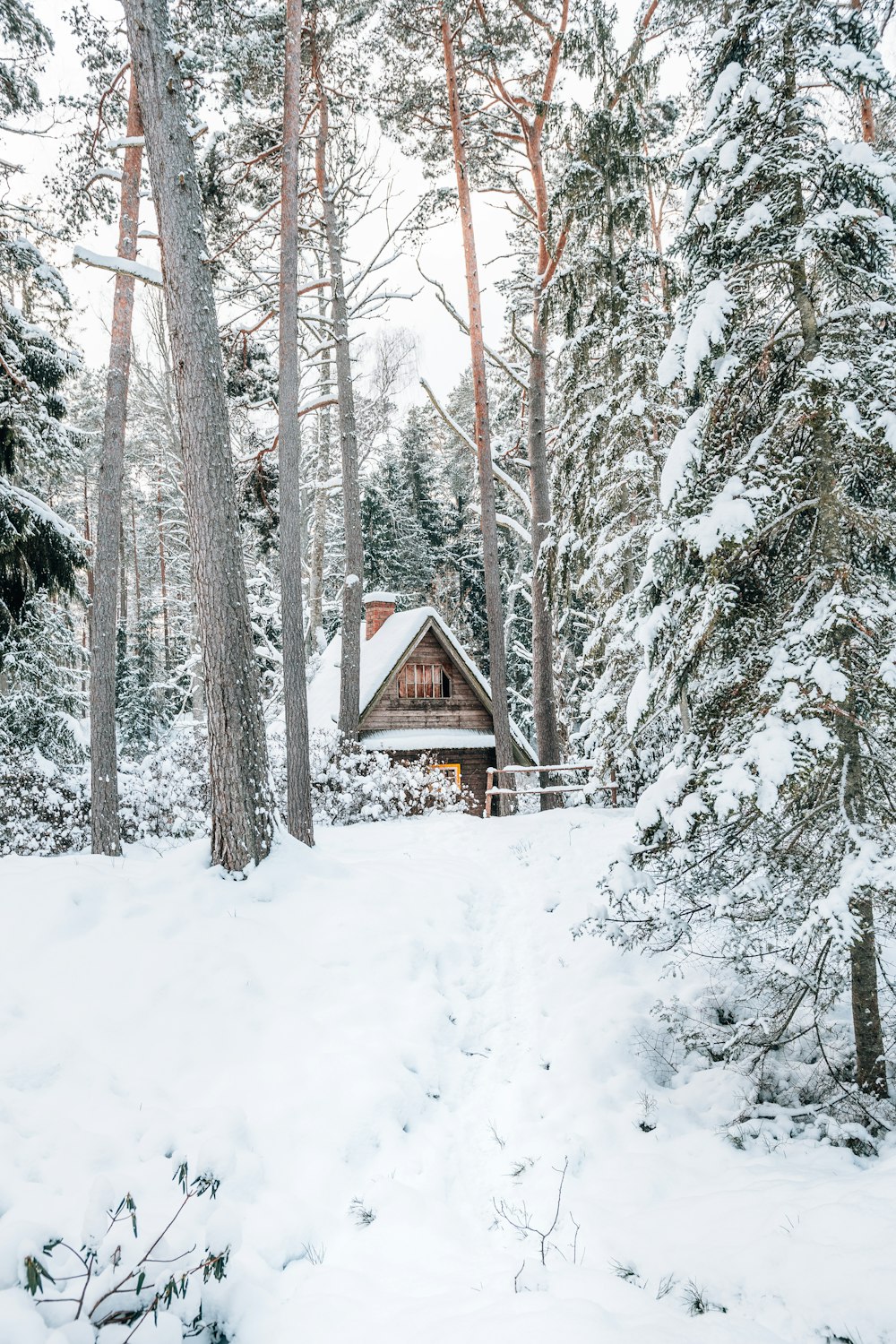 brown wooden house on snow covered ground