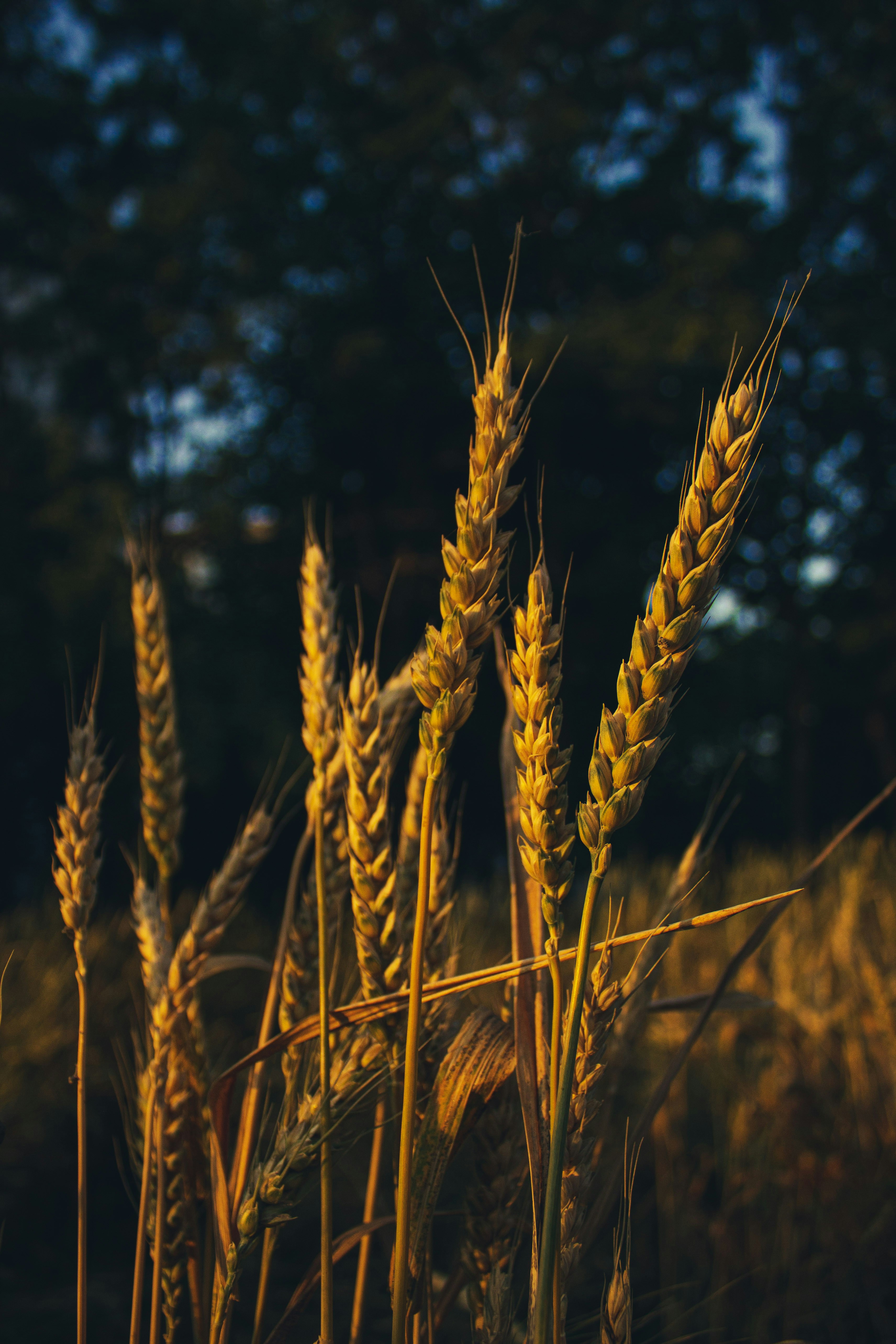 sebnem saltan (@sebnemsaltan) | Komunitas Foto Unsplash