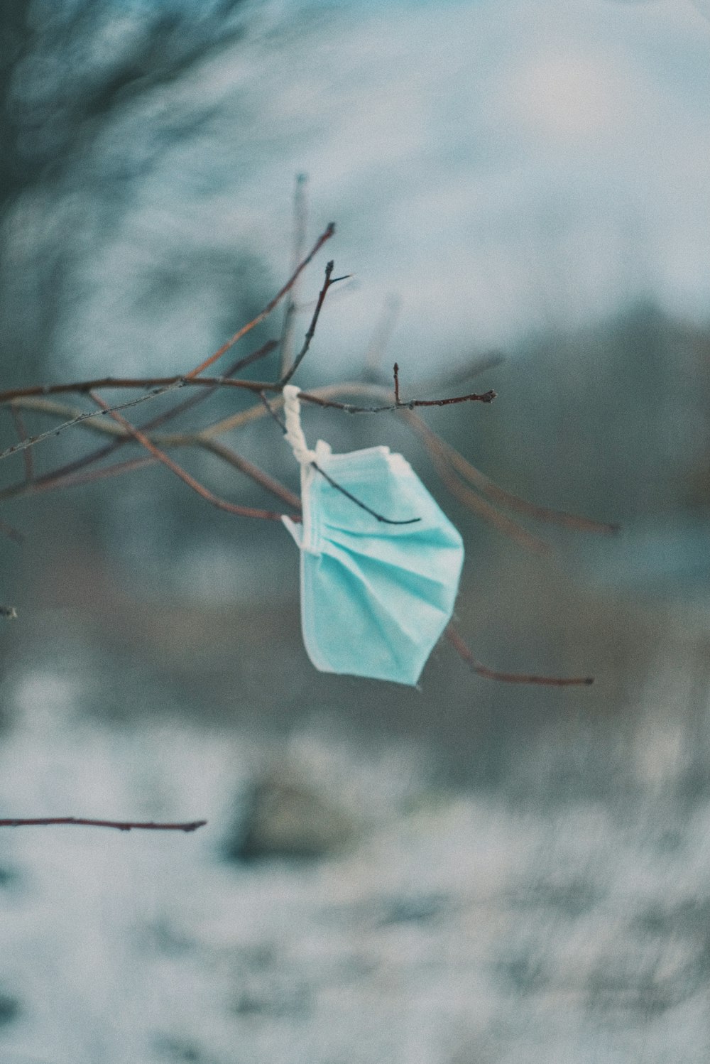 white paper on brown tree branch