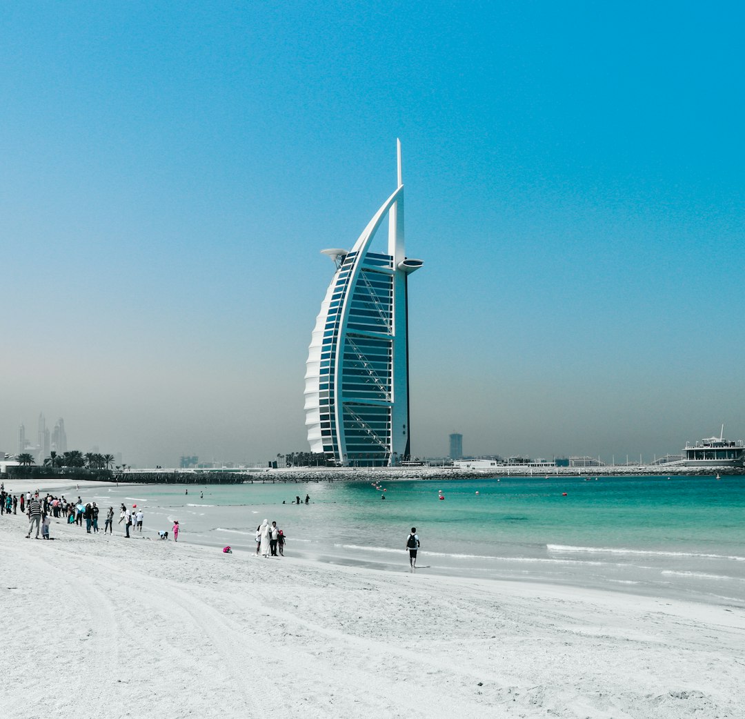 people on beach during daytime