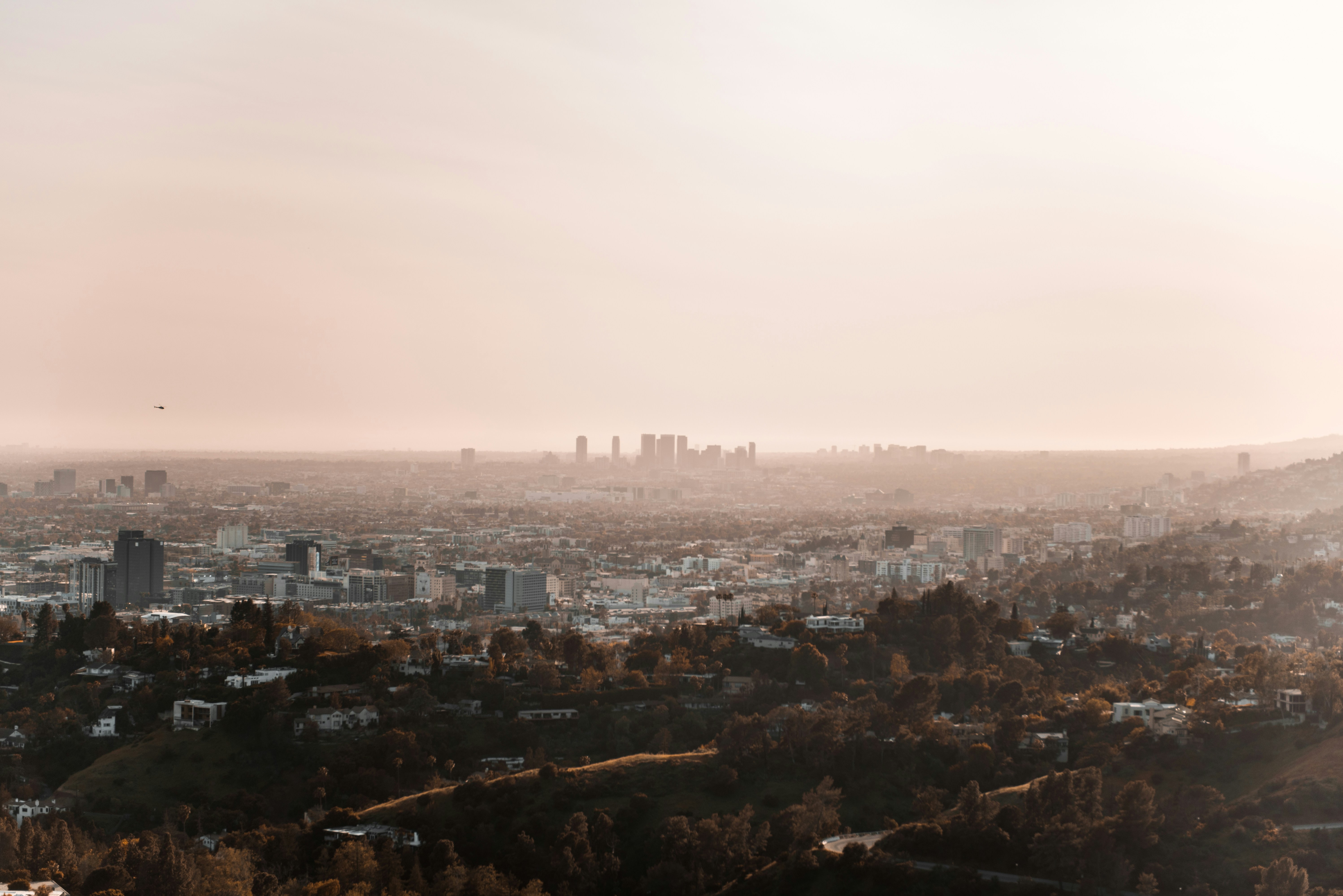 Photo by mikeperezmedia