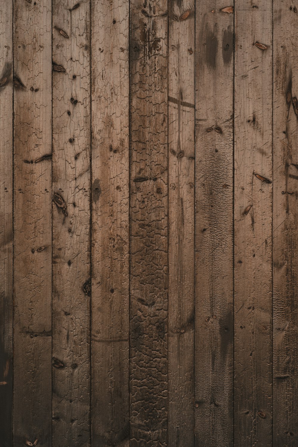 Best Wood Wall Pictures [HD] | Download Free Images on Unsplash