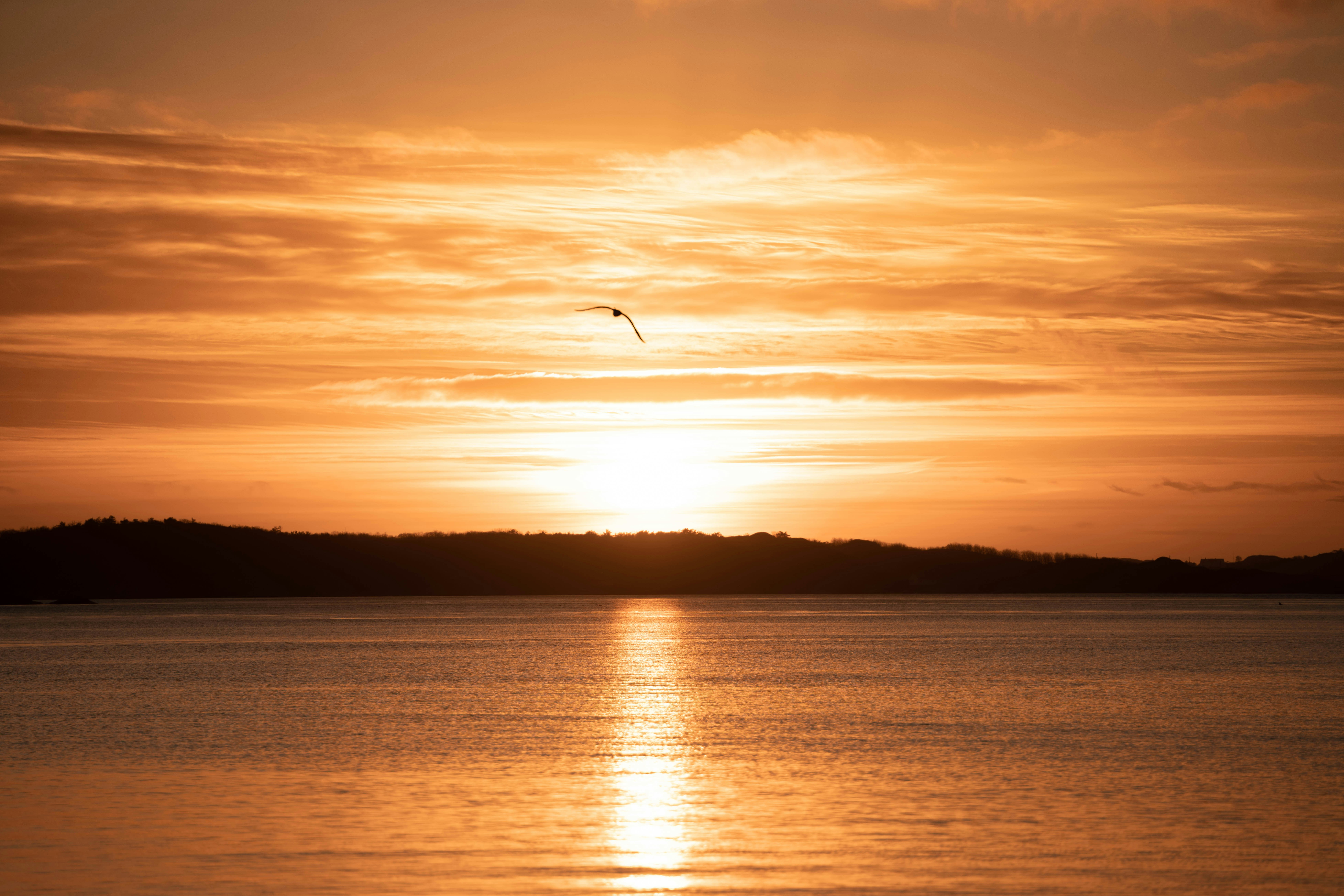 Photo by martinwikestad