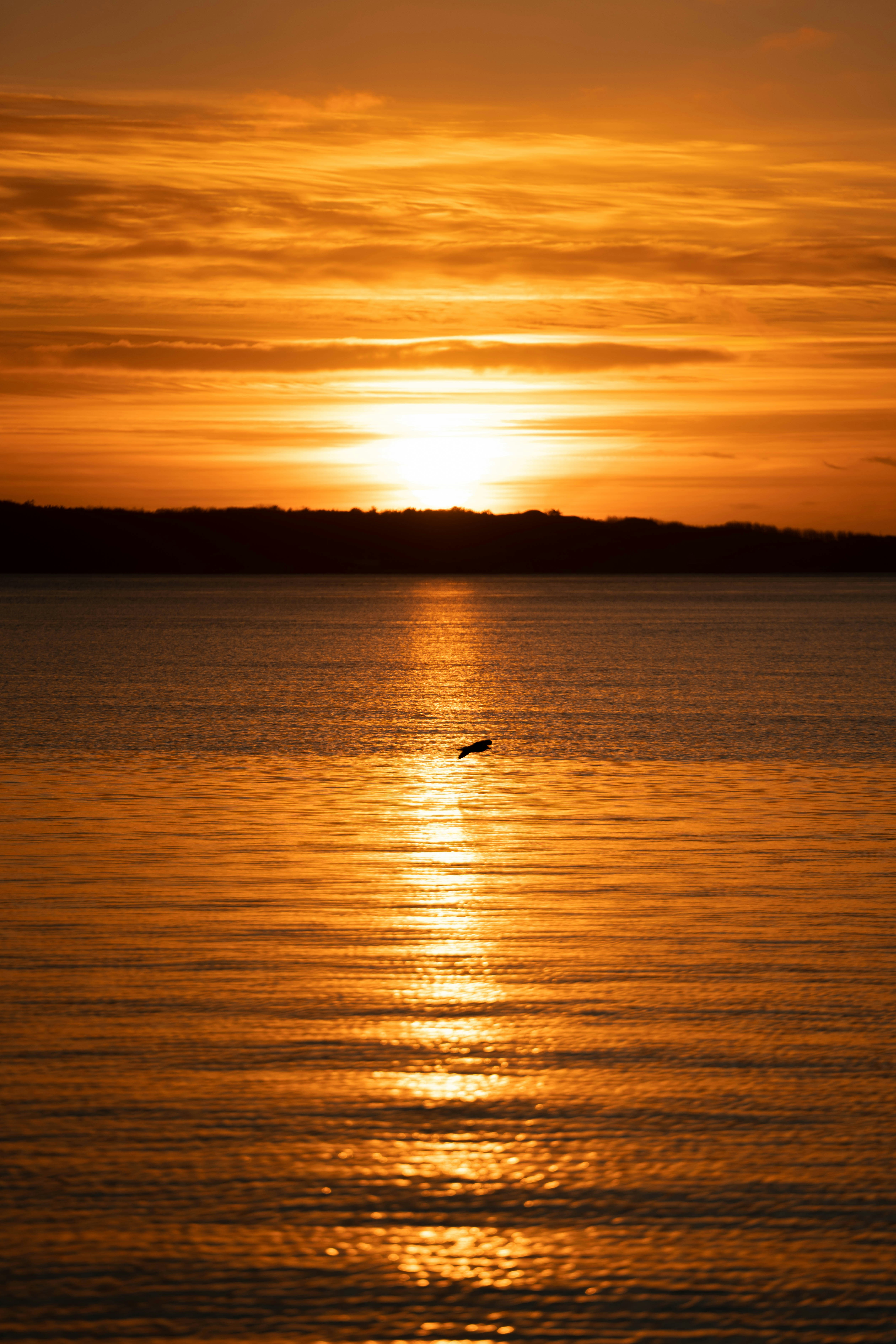 Photo by martinwikestad