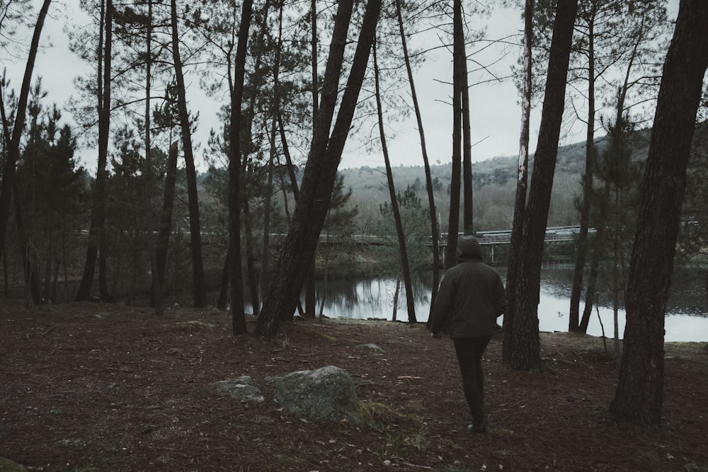 person in gray hoodie standing on brown dried leaves near body of water during daytime